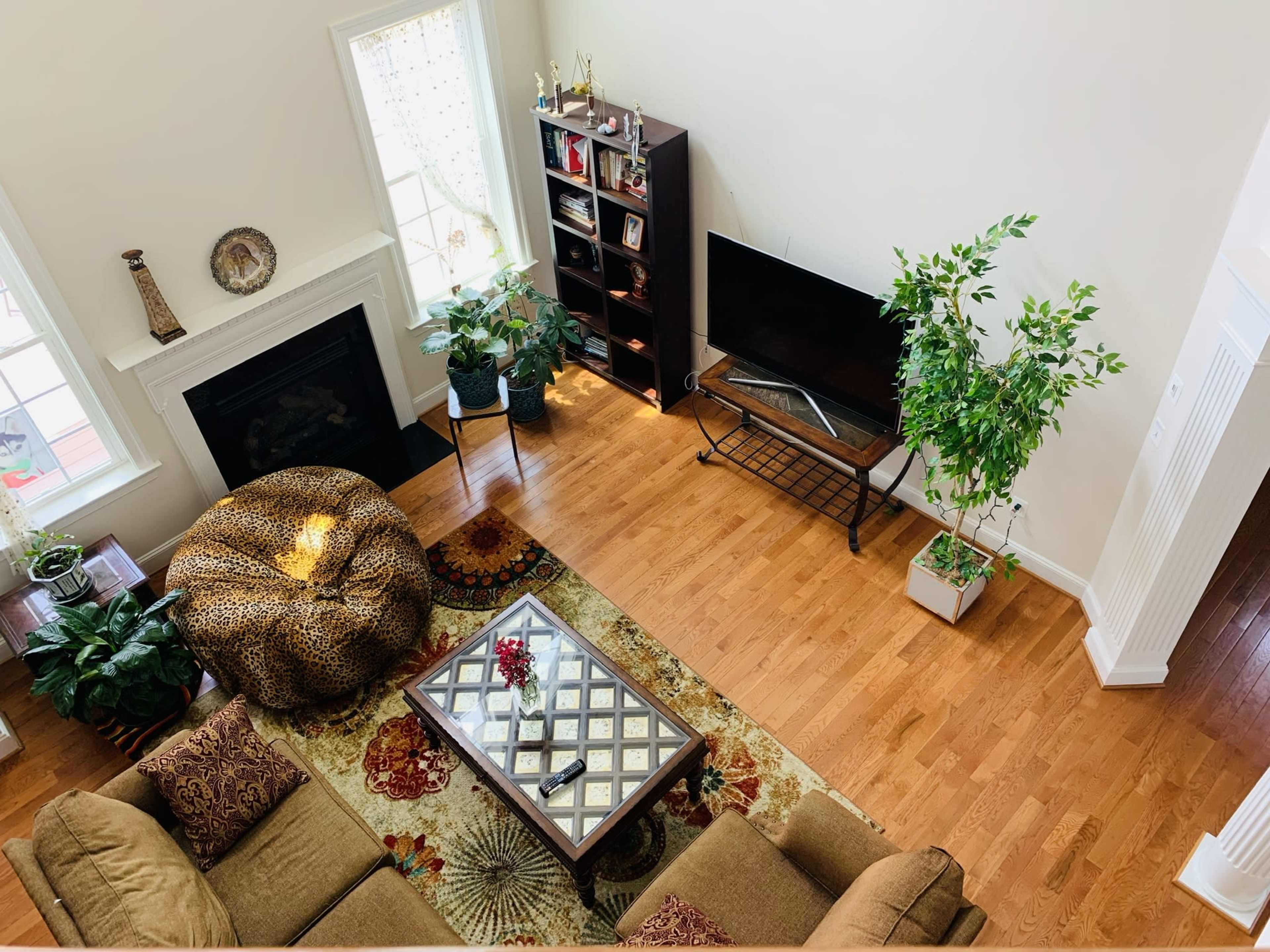 A spacious living room with a large bean bag chair, a coffee table adorned with decorative items, a television stand, a bookshelf, and several potted plants.