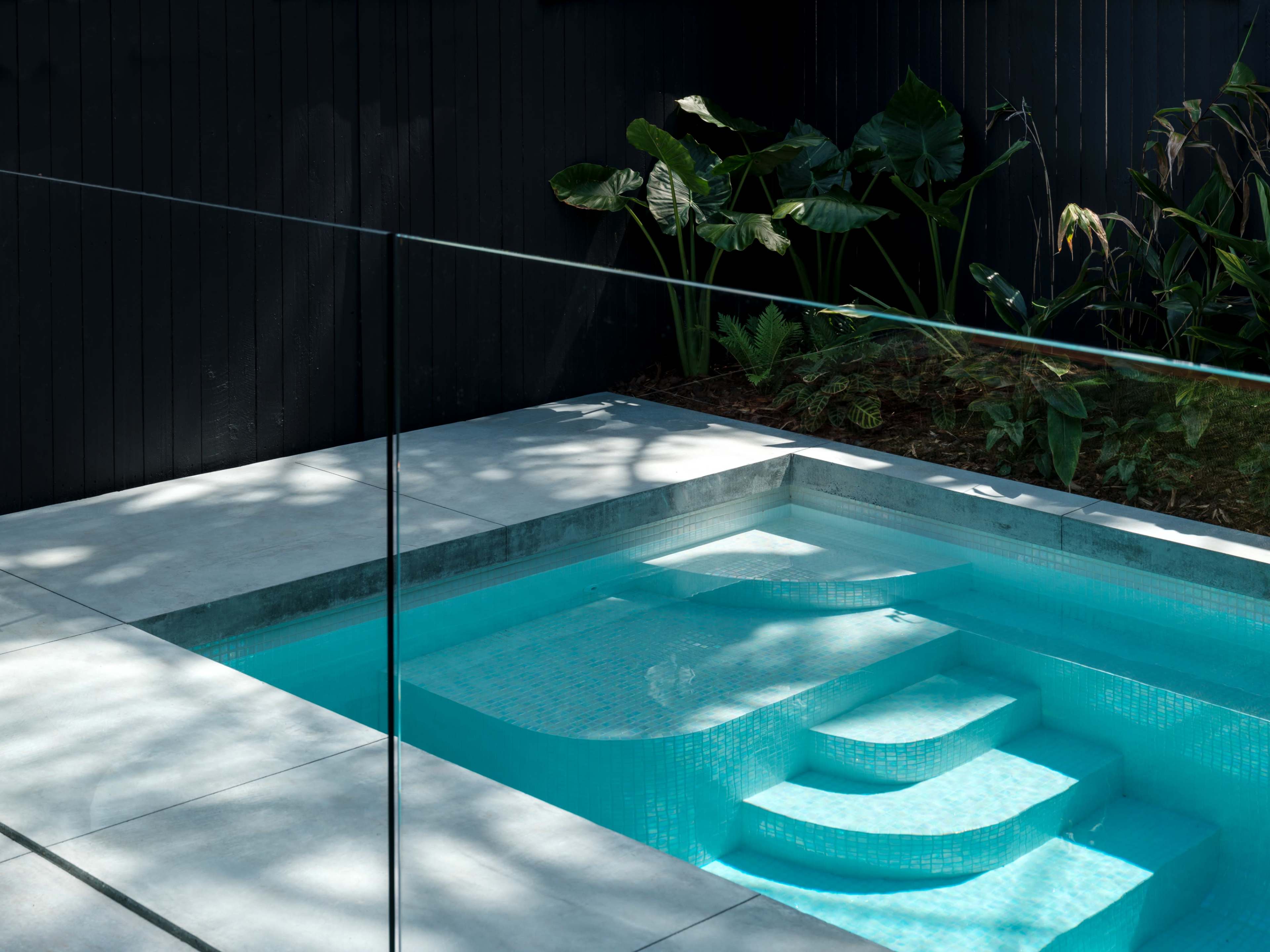 A modern, rectangular swimming pool with steps, surrounded by low foliage and a dark wall.