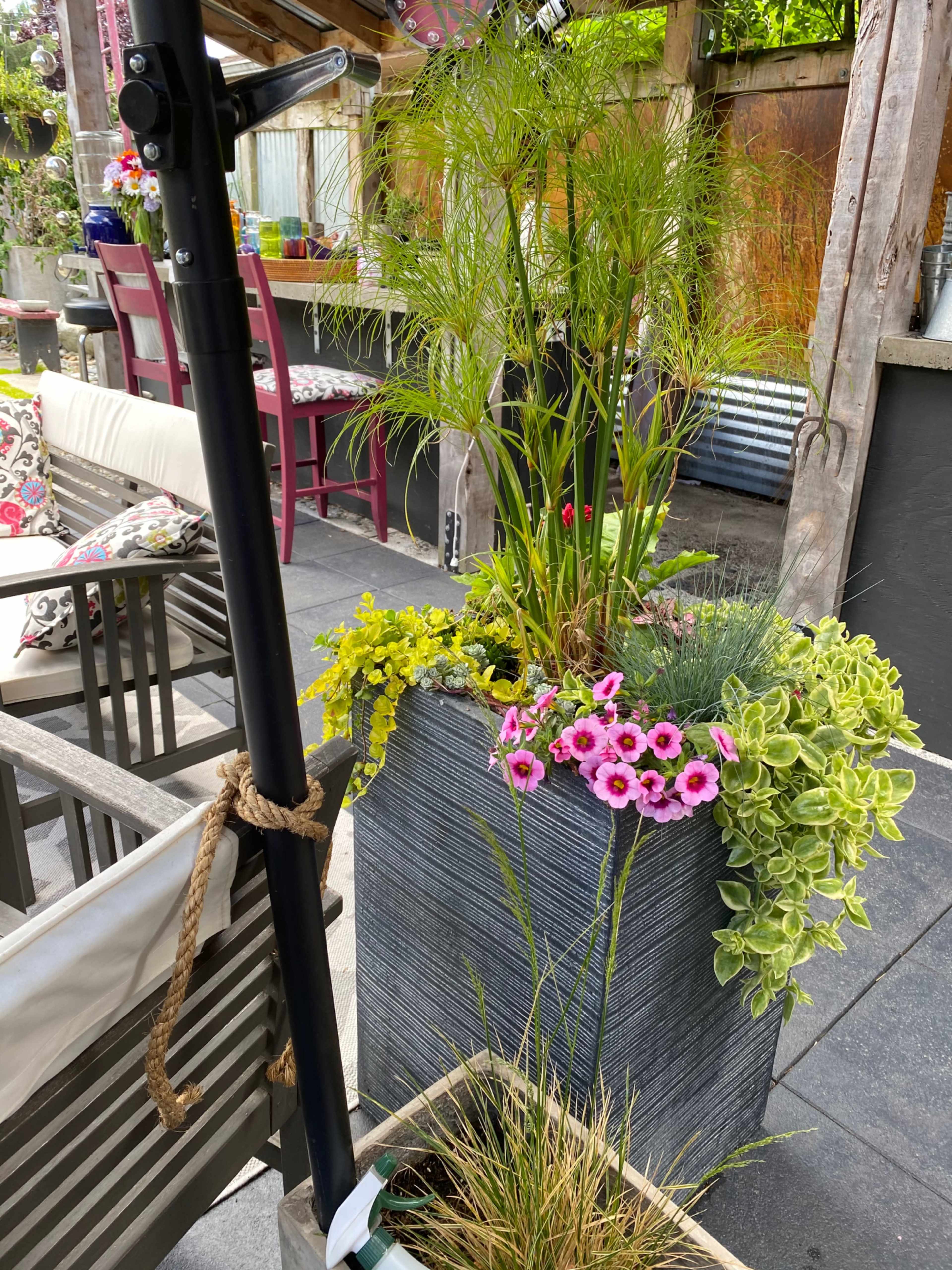 A large planter filled with various colorful plants and flowers, positioned on a patio with outdoor furniture in the background.