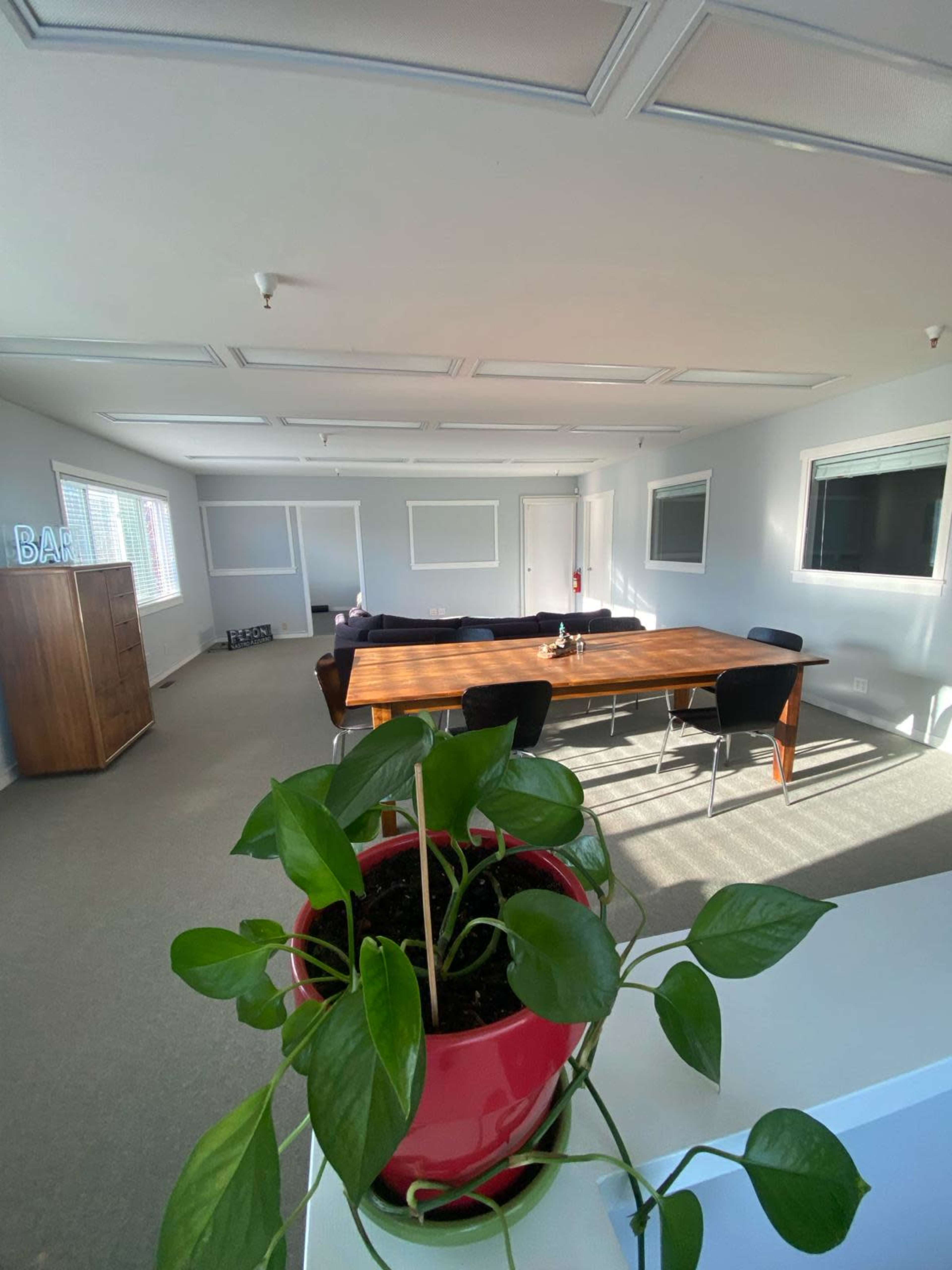A spacious meeting room features a large wooden table surrounded by black chairs and a potted plant in the foreground.