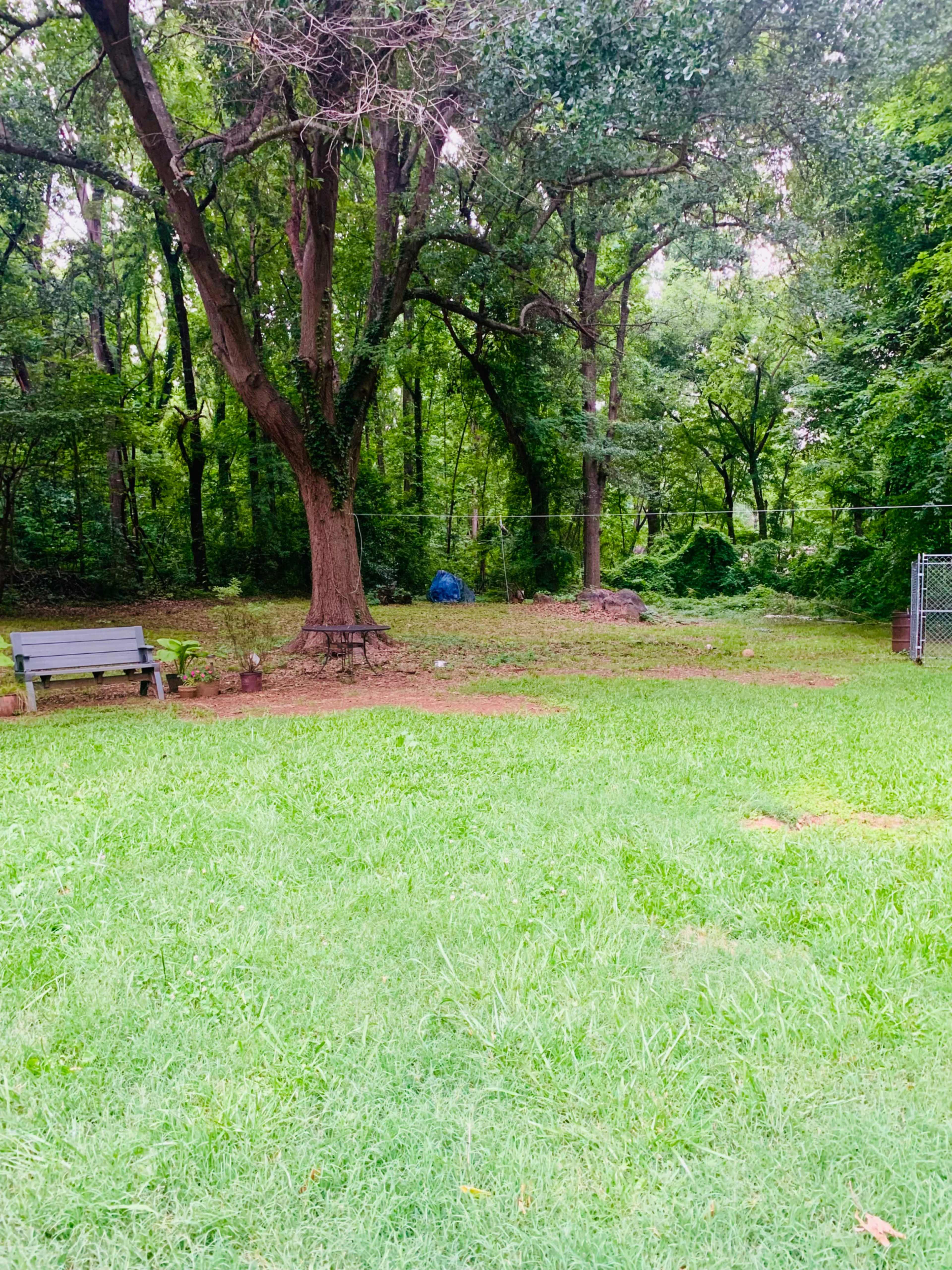 Big Backyard, Rustic Woodland Setting, Mature Tree Canopy and Butterfly Garden for Photo Shoots Image in , Mount Holly, NC