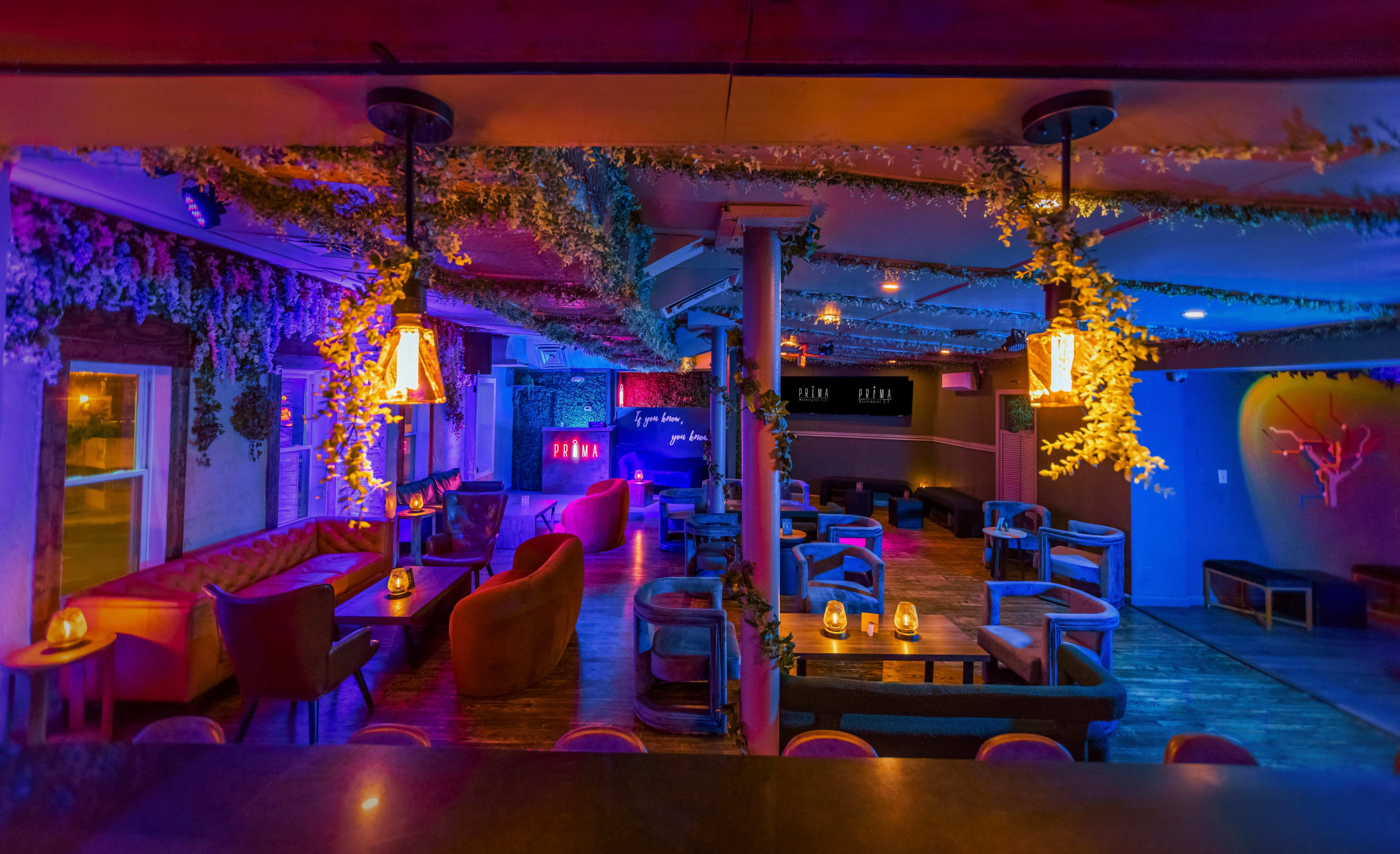 A dimly lit lounge interior with colorful lighting, stylish seating areas, and decorative plants.