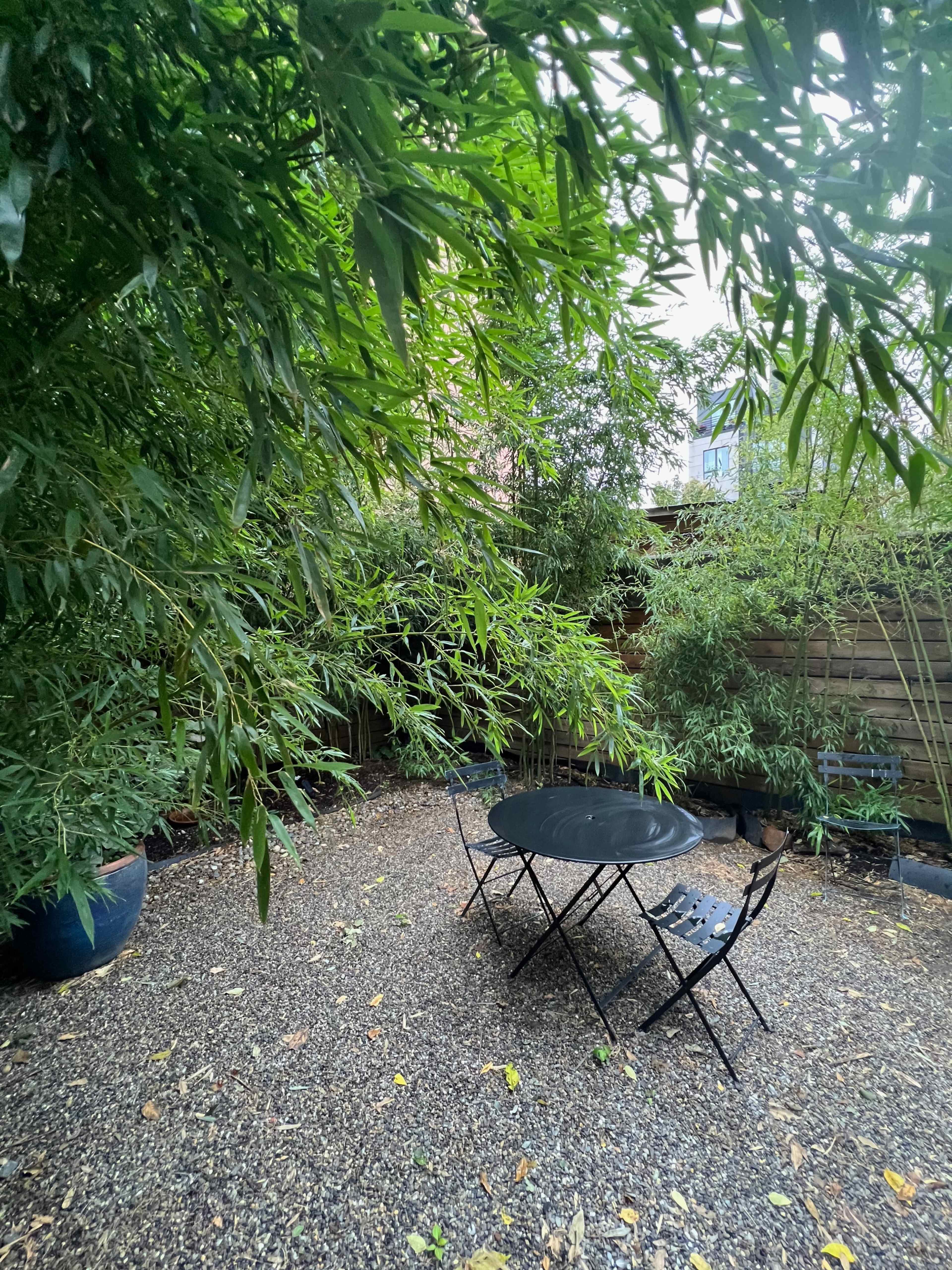 A small outdoor space features a black metal table and chairs surrounded by lush bamboo plants.