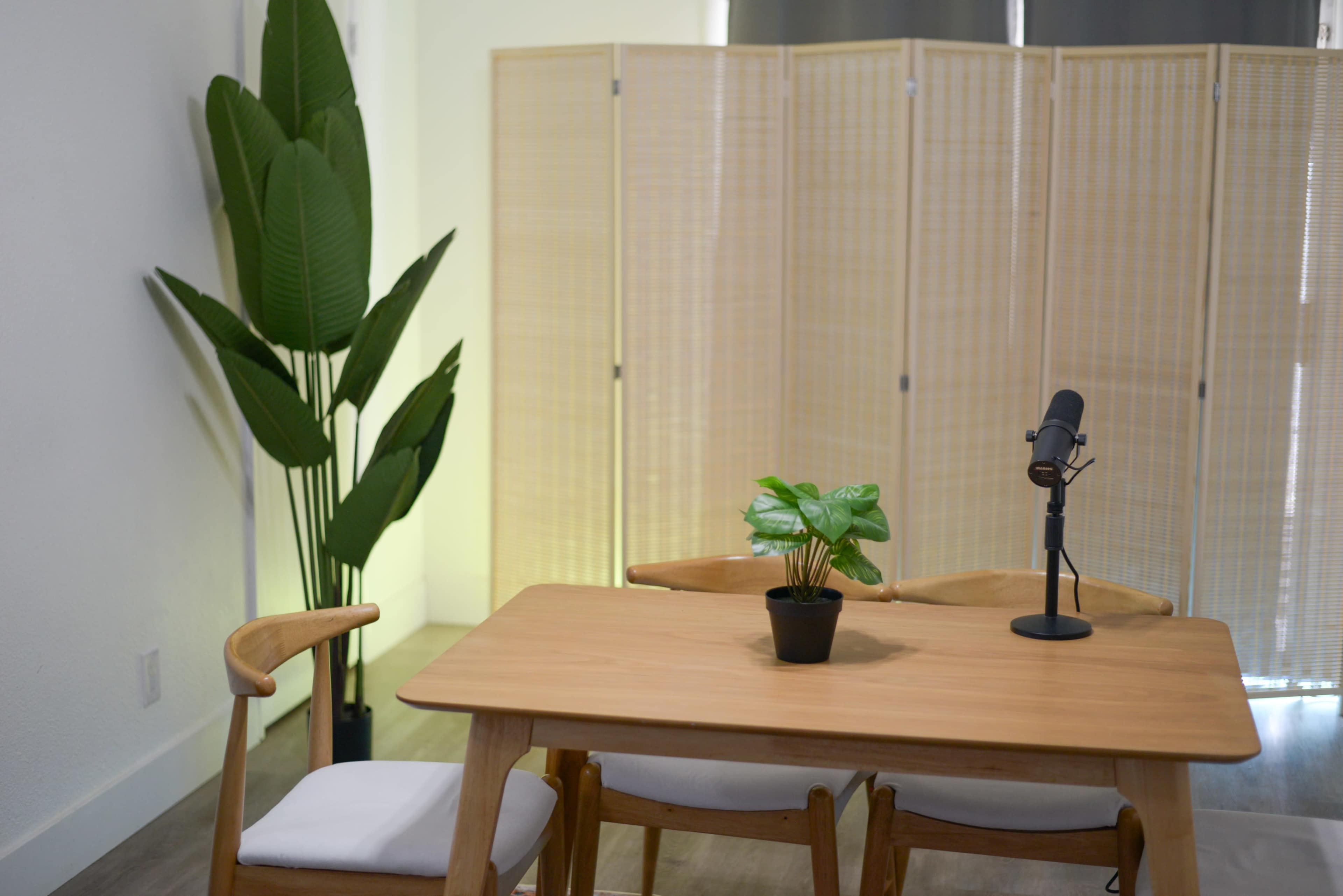 A wooden table with two chairs and a small potted plant sits in front of a microphone, beside a tall indoor plant and a folding screen.