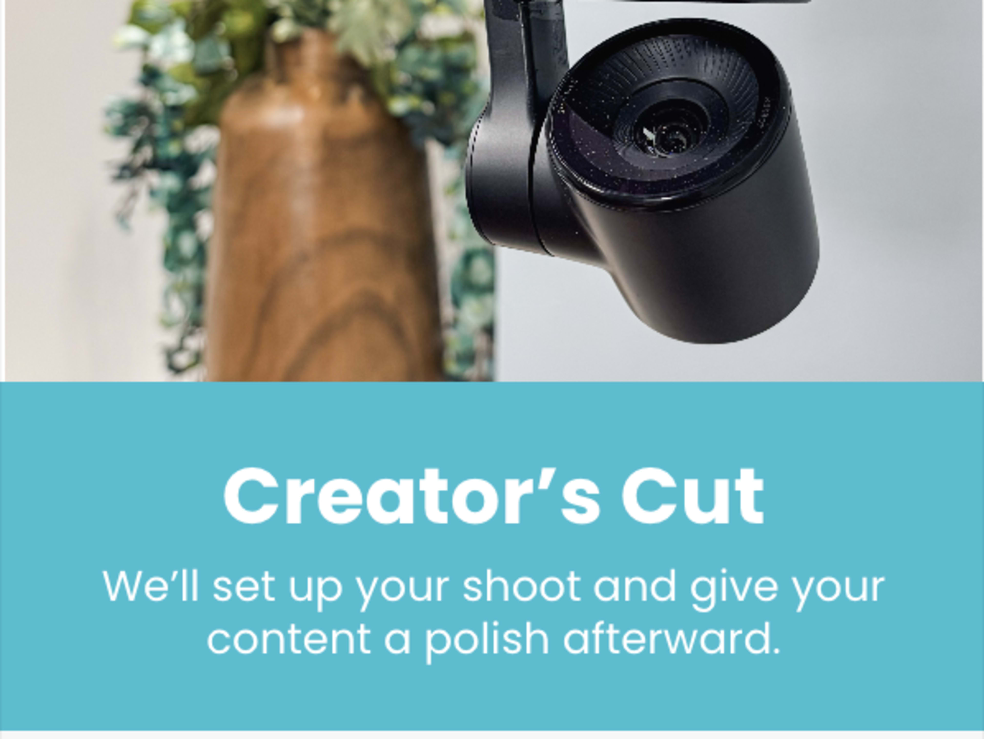 Creator's Cut
