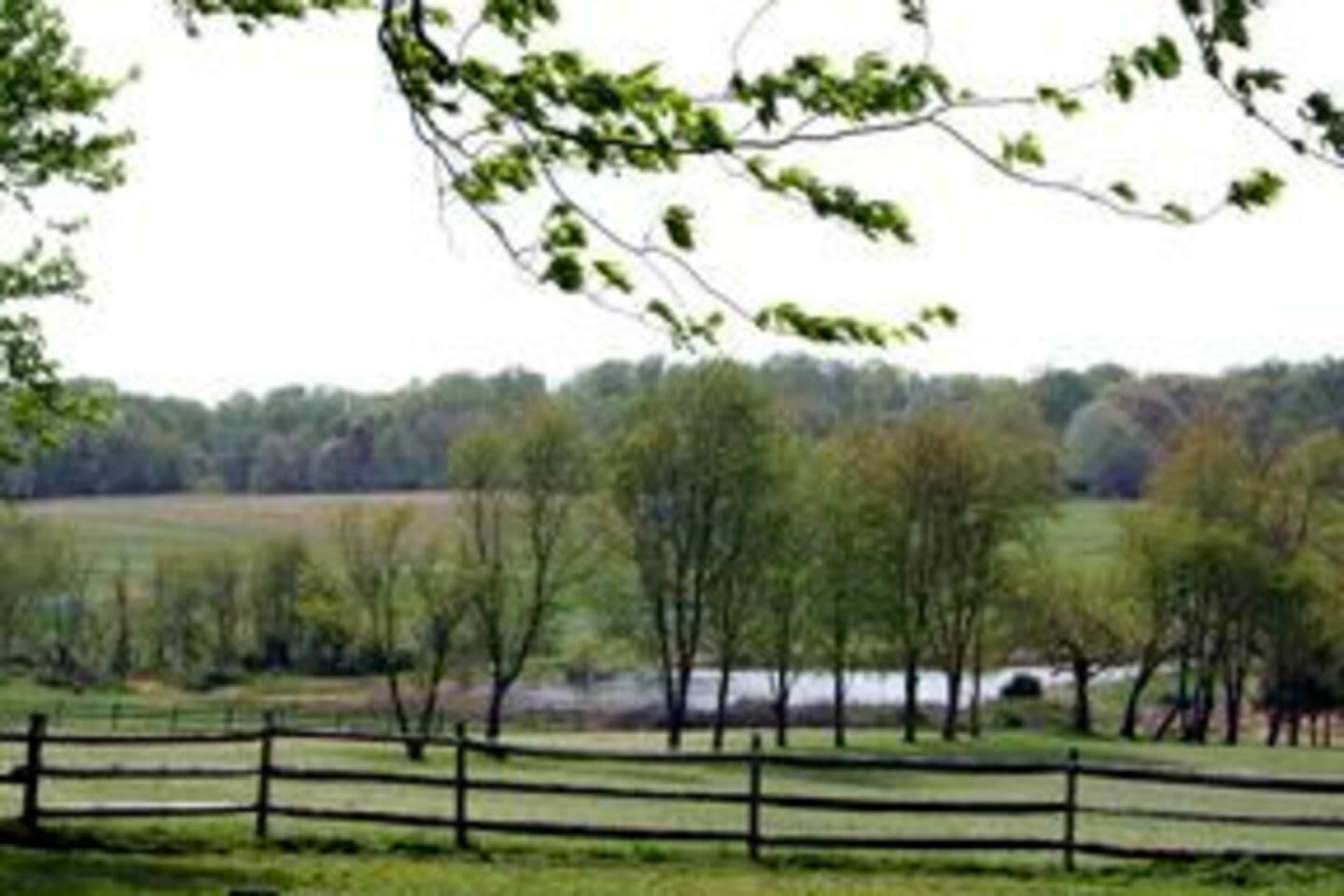 A green field with a wooden fence, bordered by trees, overlooks a small body of water in the distance.