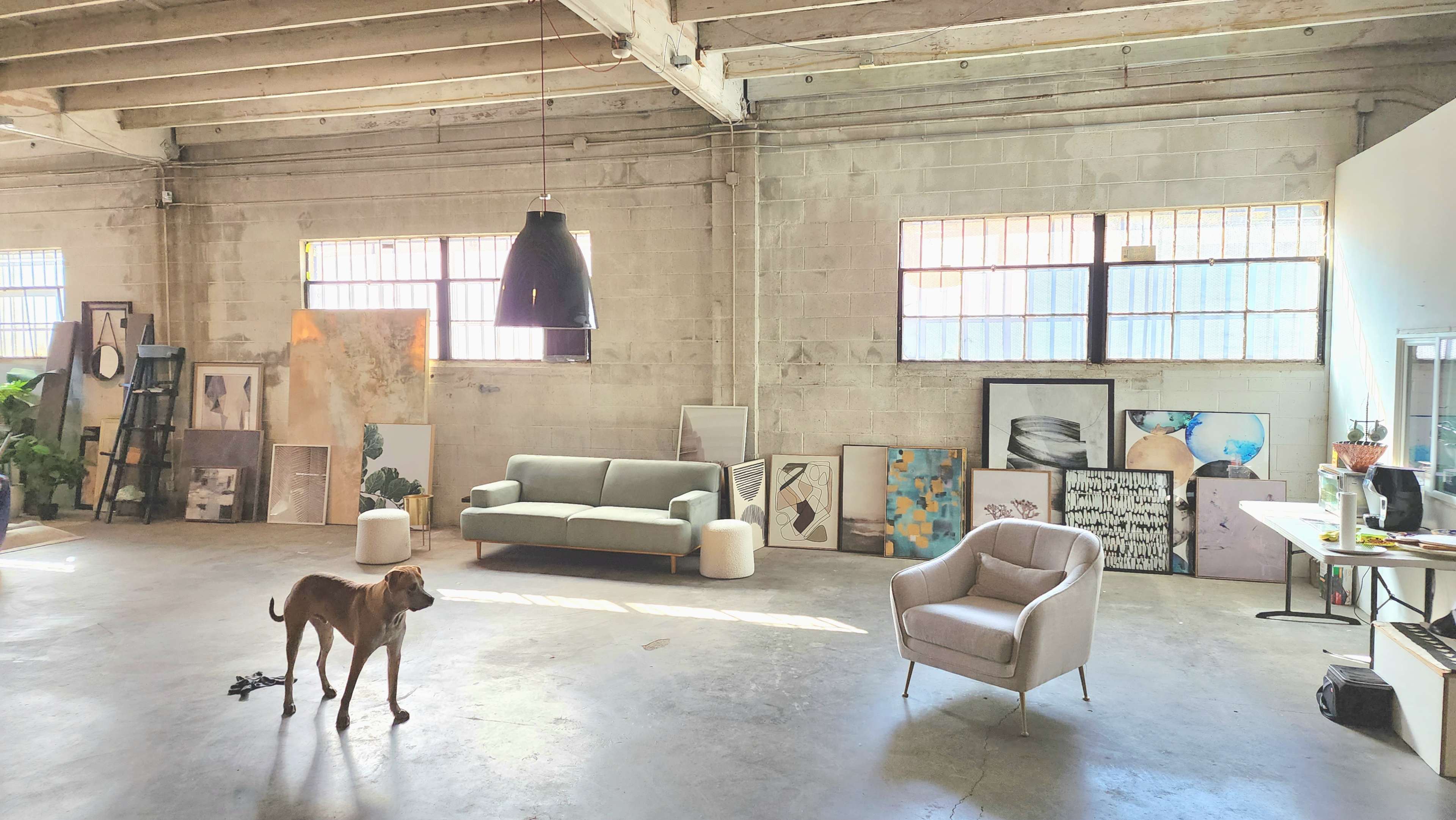 A spacious studio features a dog on the floor, a green sofa, a light gray armchair, and various artworks displayed against the walls.