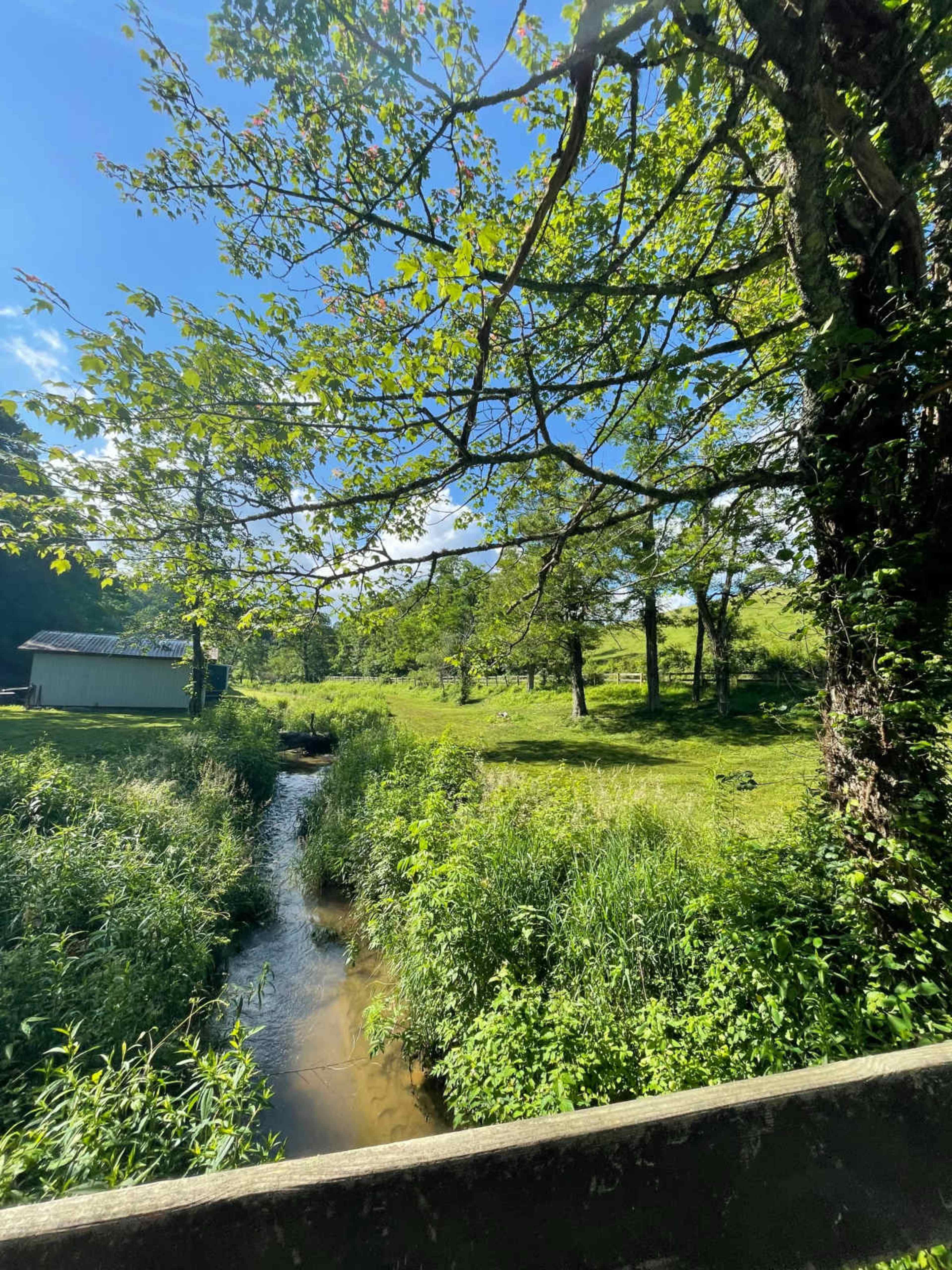 Pastoral Acreage with Creek, Barn, Pond, Waterfall Image in , Scaly Mountain, NC