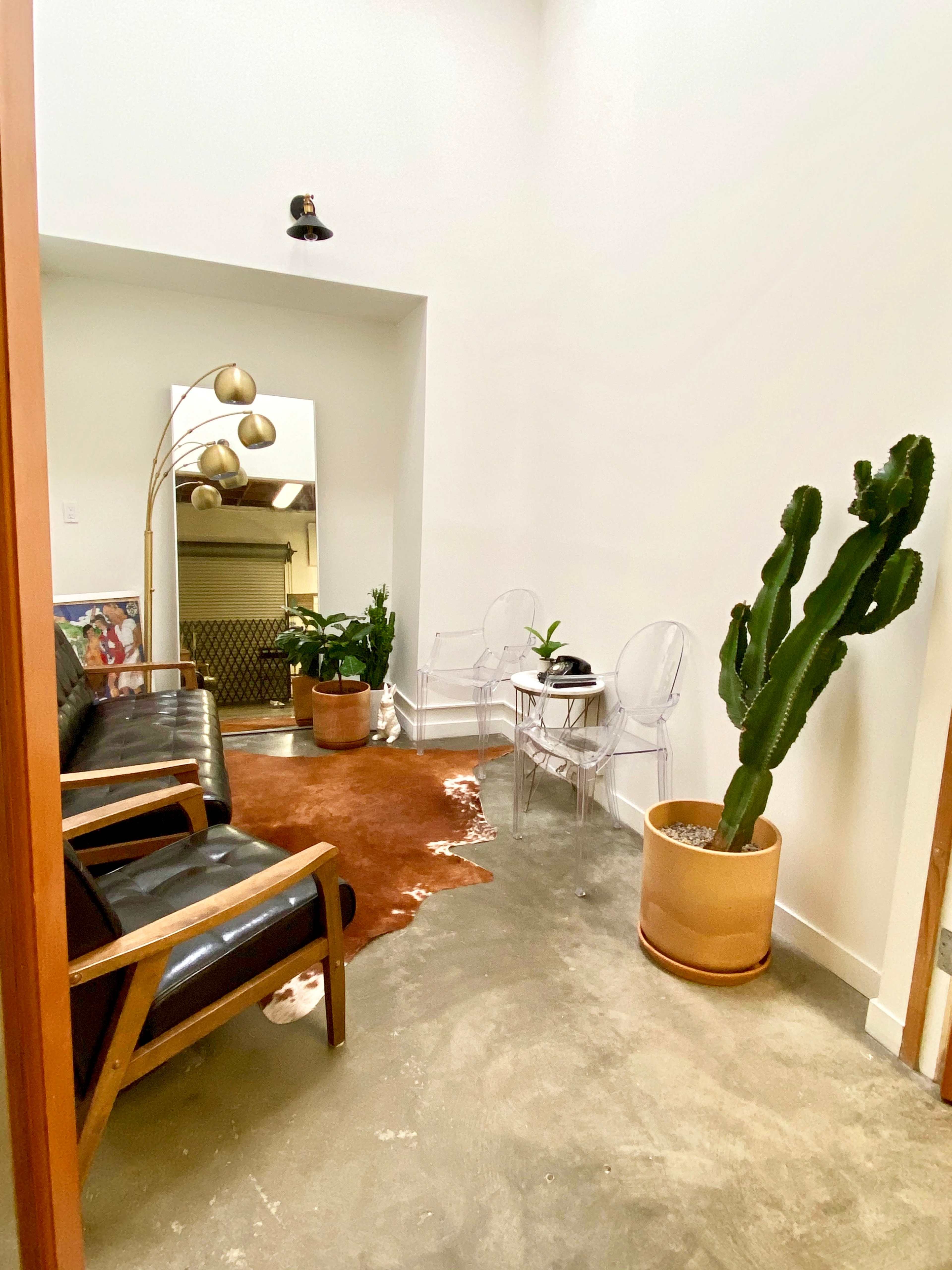 A small indoor seating area features a black leather sofa, two transparent chairs, a cowhide rug, and potted plants against a white wall.