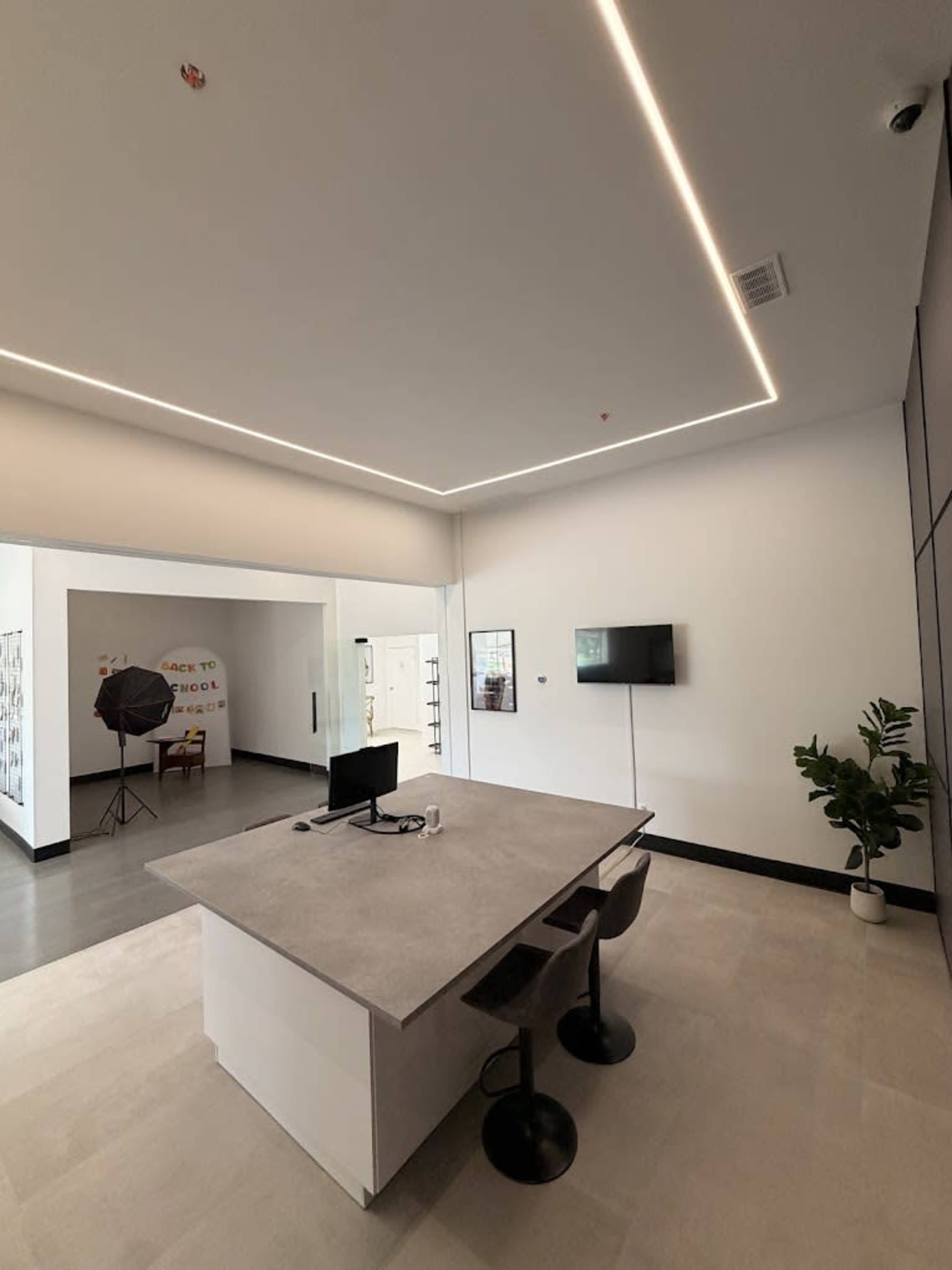 The image shows a modern office space featuring a large gray table with two black chairs, a television mounted on the wall, and a nearby green plant.
