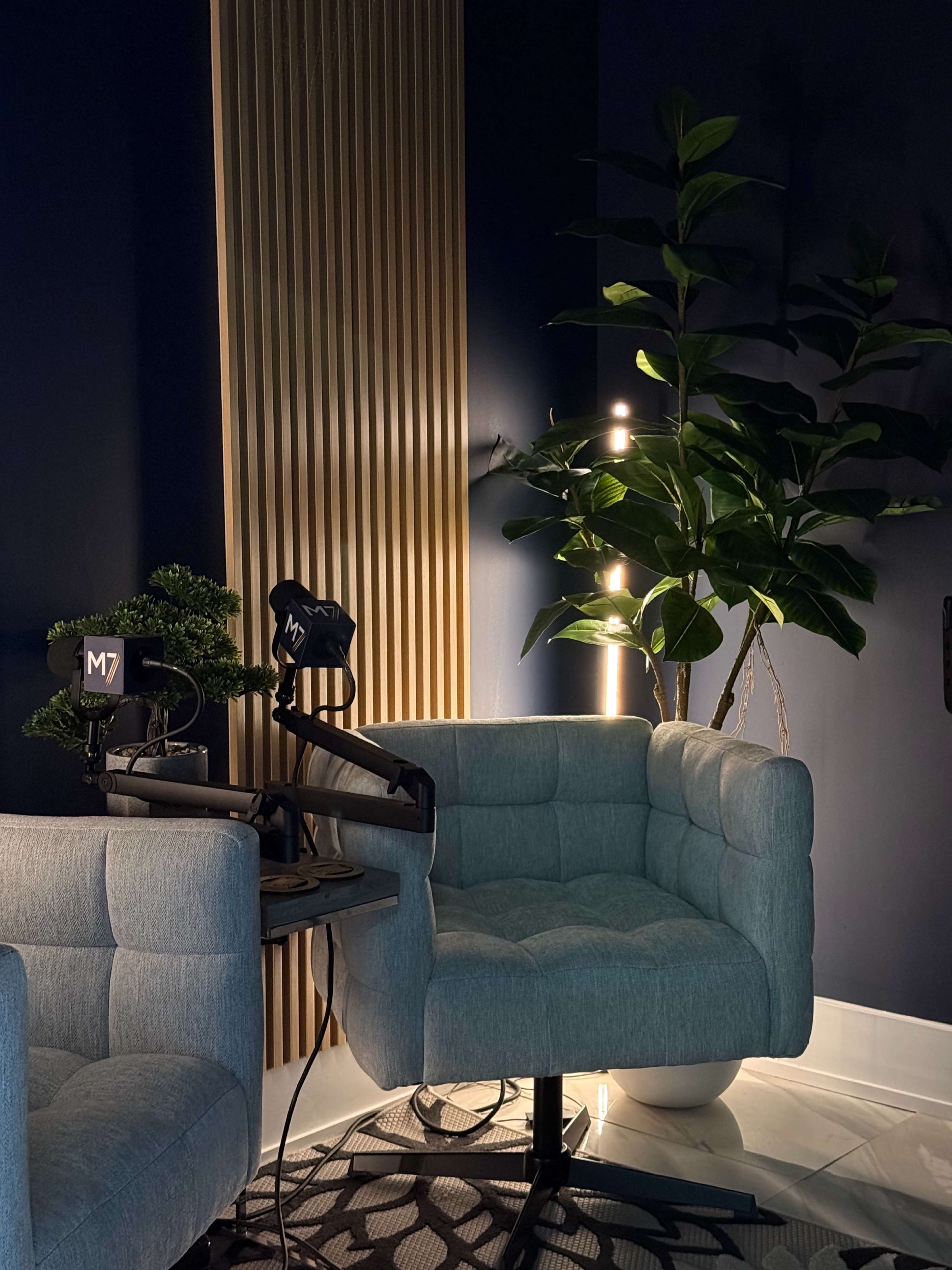 The image shows two light blue armchairs adjacent to a large potted plant, set against a dark wall featuring vertical wooden paneling and soft lighting.