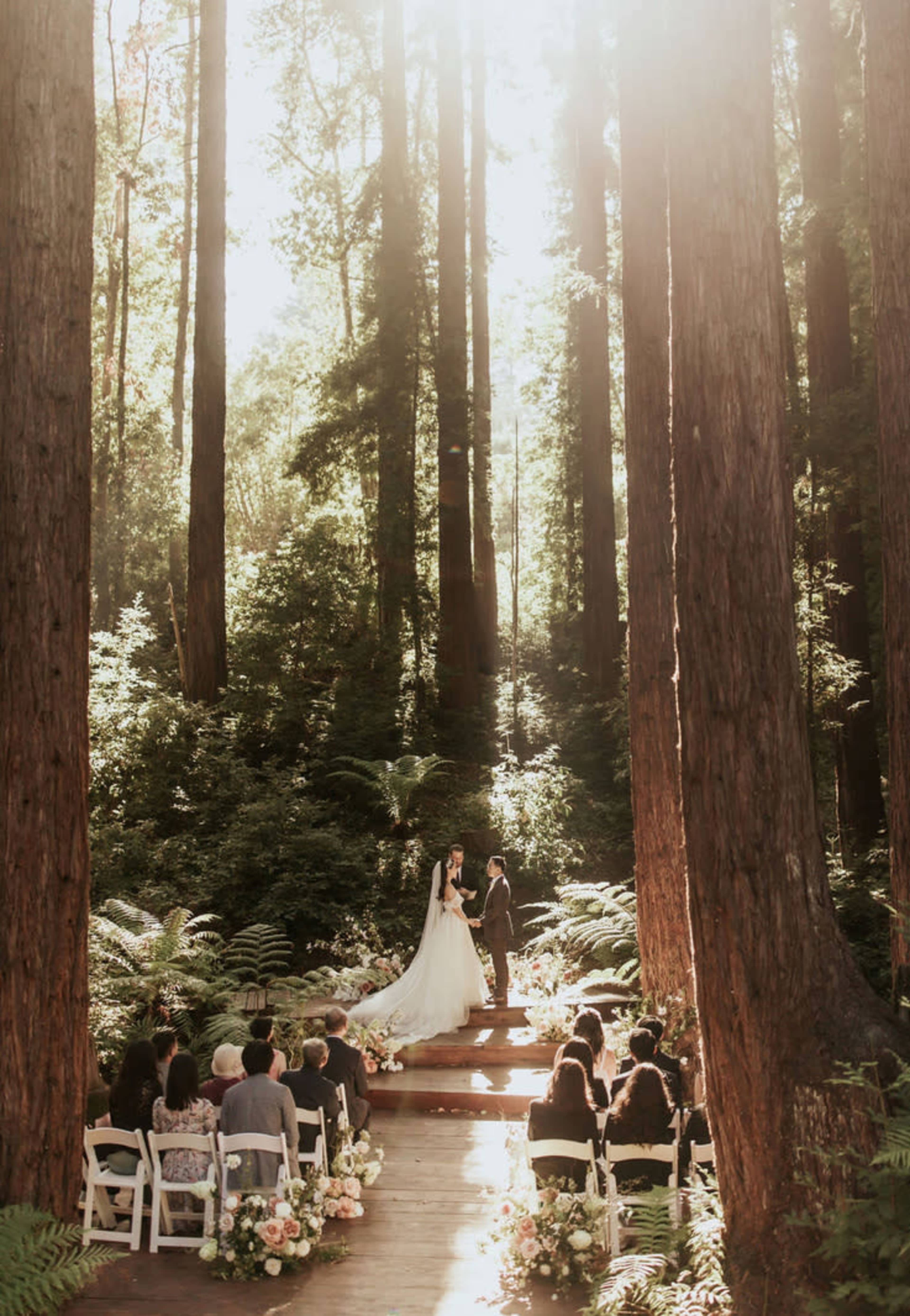 Redwood Radiance: Outdoor & Lifestyle Photoshoot Venue Image in Day Valley, Aptos, CA