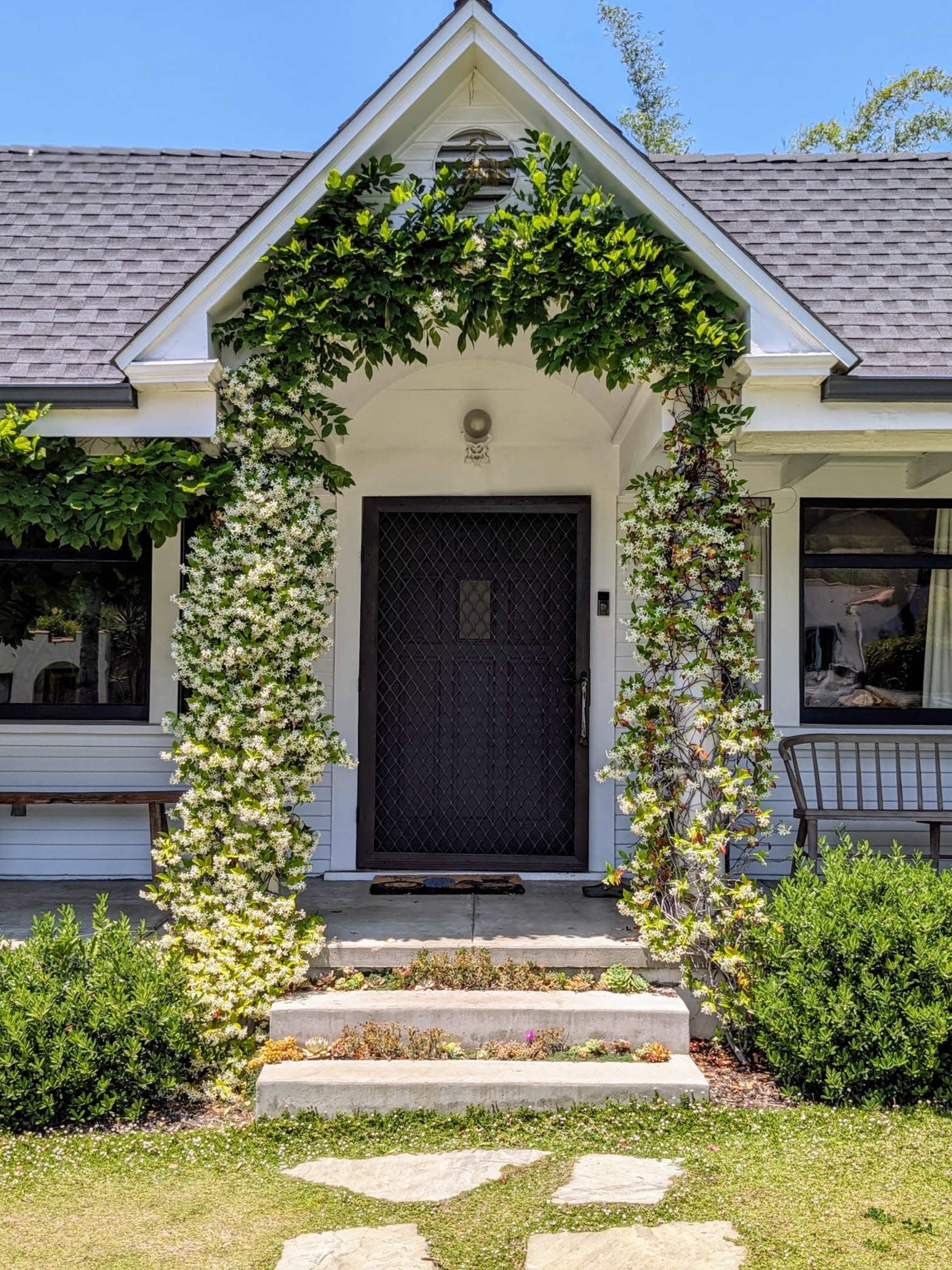 A pathway leads to a front door framed by flowering vines and lush greenery.