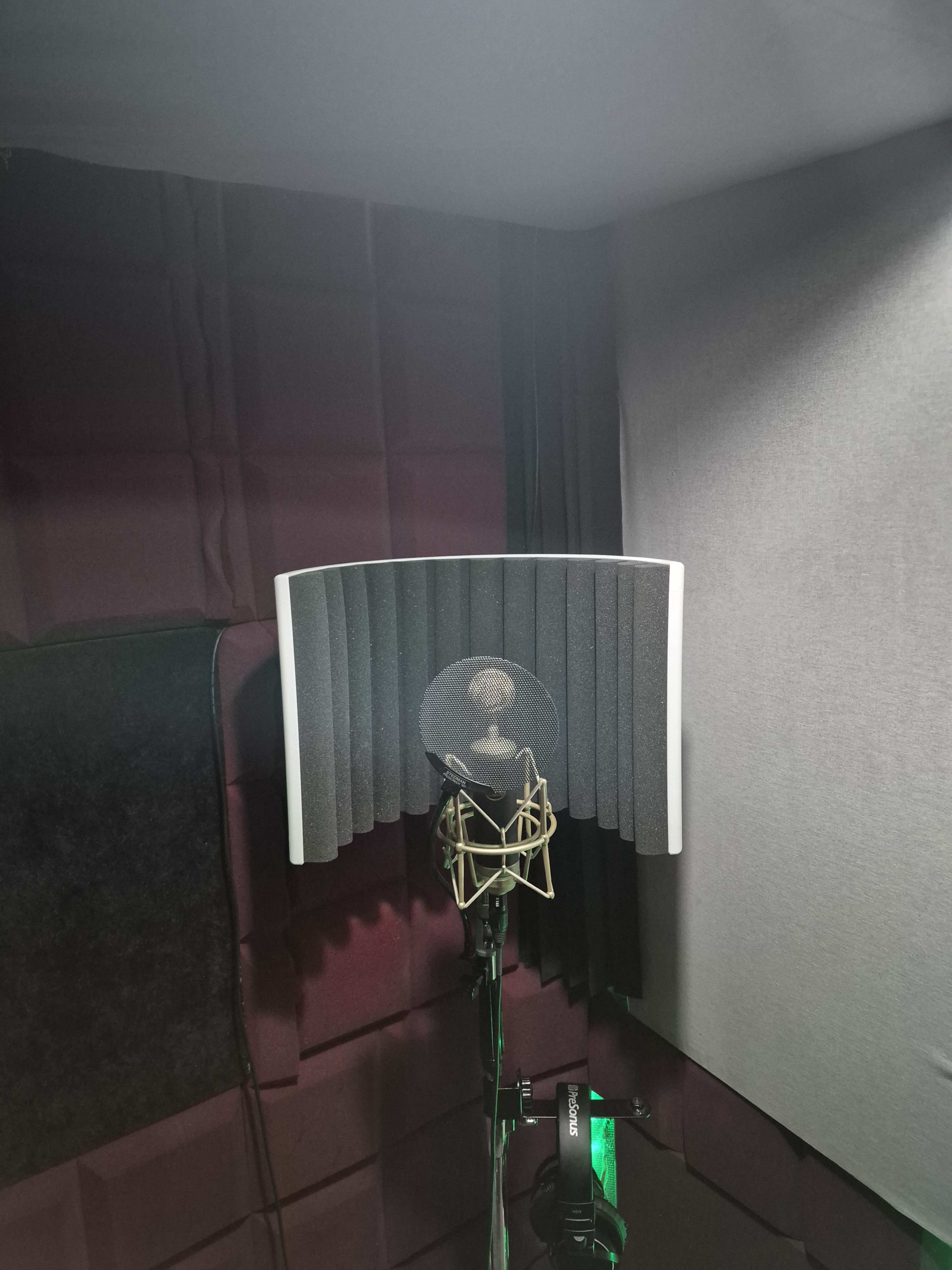 The image shows a microphone set up inside a soundproof recording booth with acoustic panels on the walls.