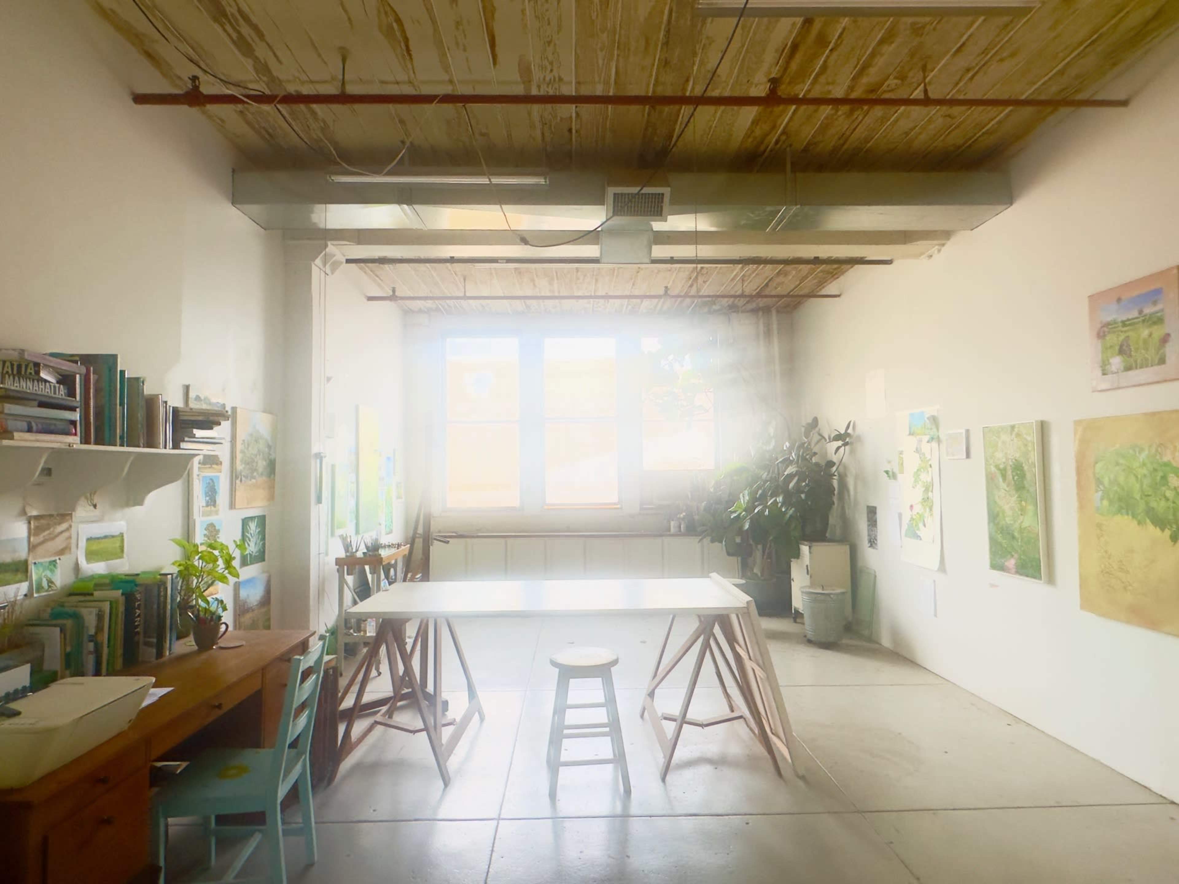 Peaceful North Lit Studio Image in Sunset Park, Brooklyn, NY
