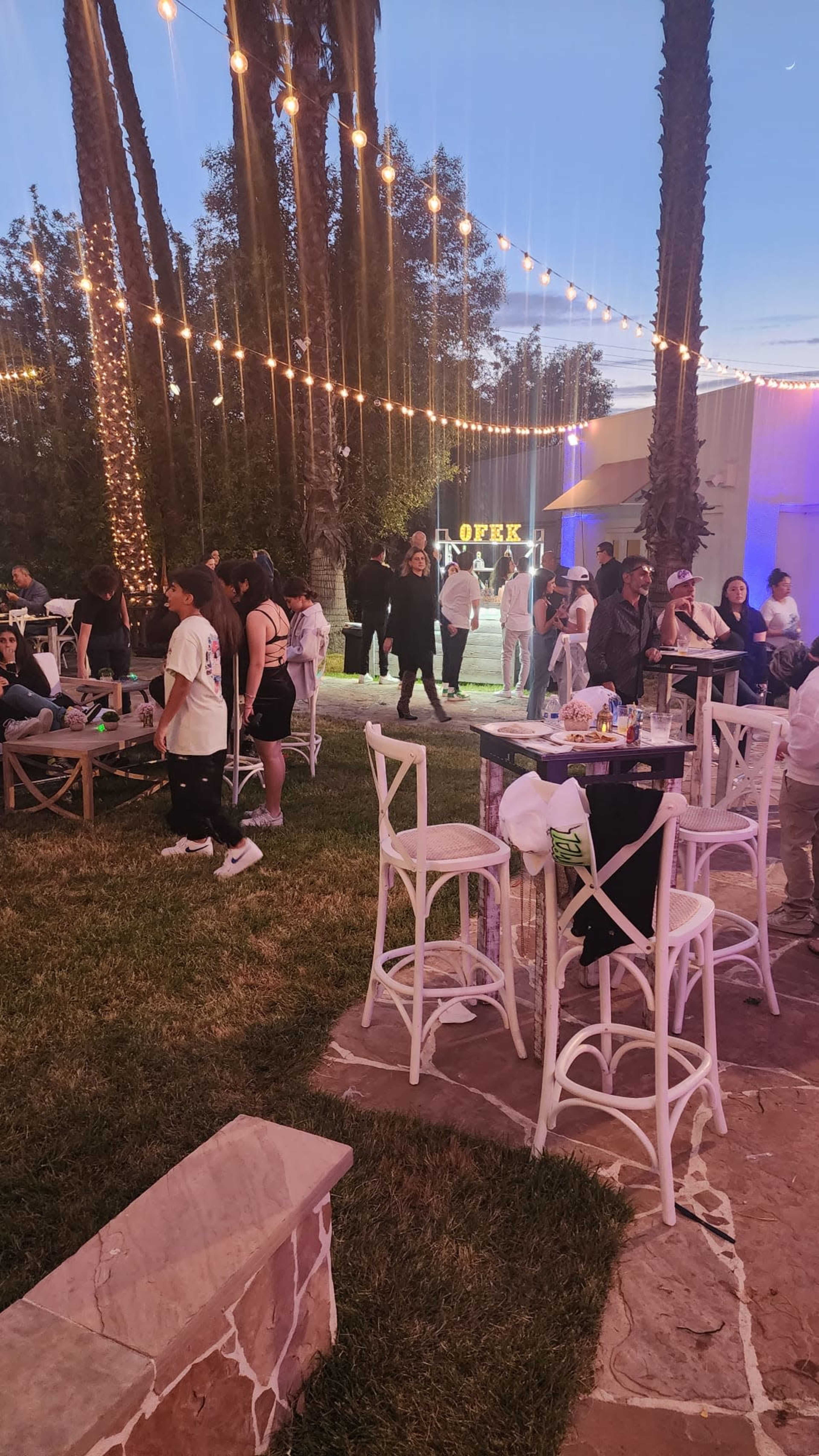 The scene shows a lively outdoor event with people socializing under string lights and palm trees, surrounded by tables and green lawn.
