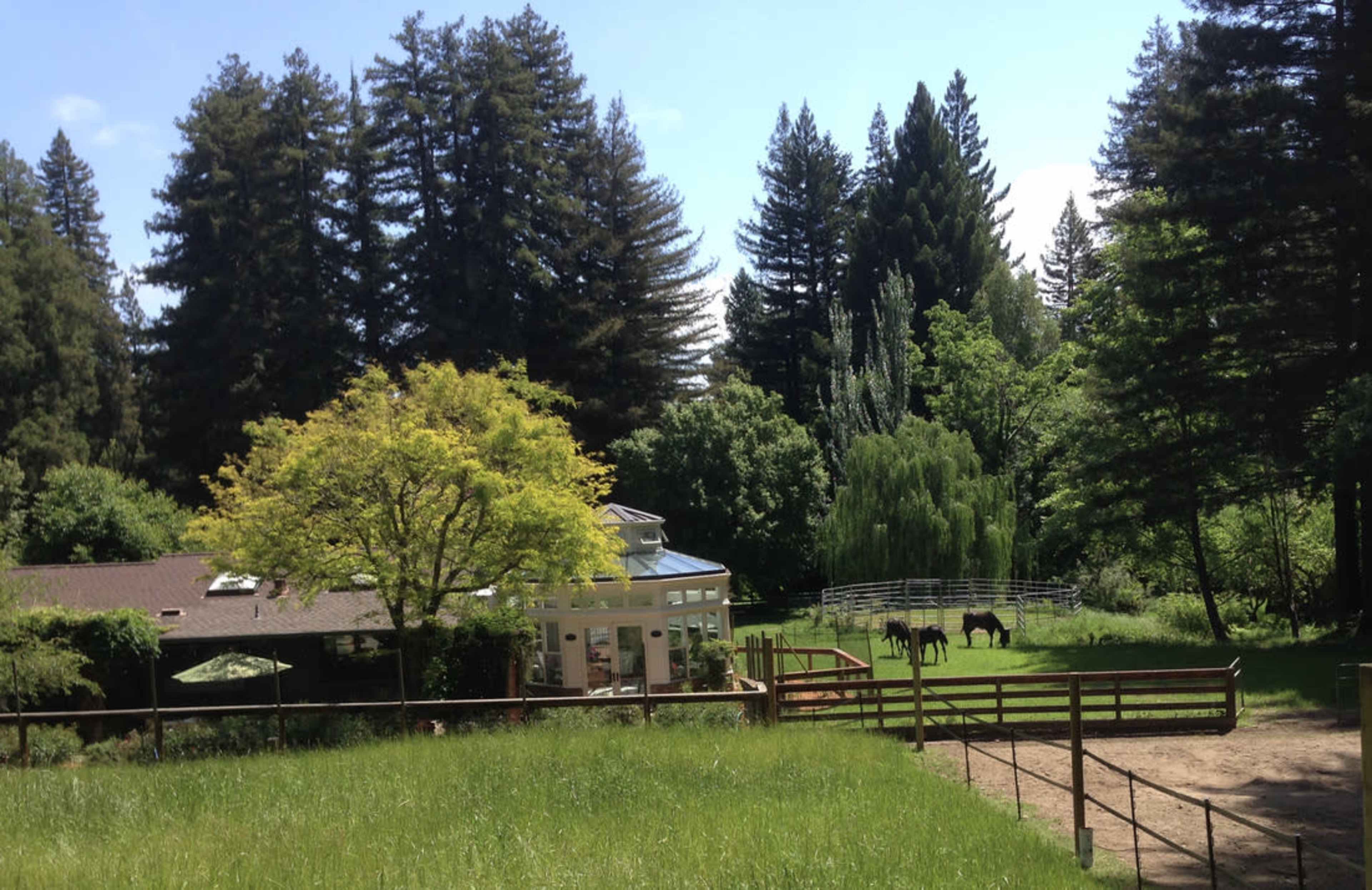 The image shows a serene landscape with a house surrounded by trees, green grass, and two horses in a fenced area.