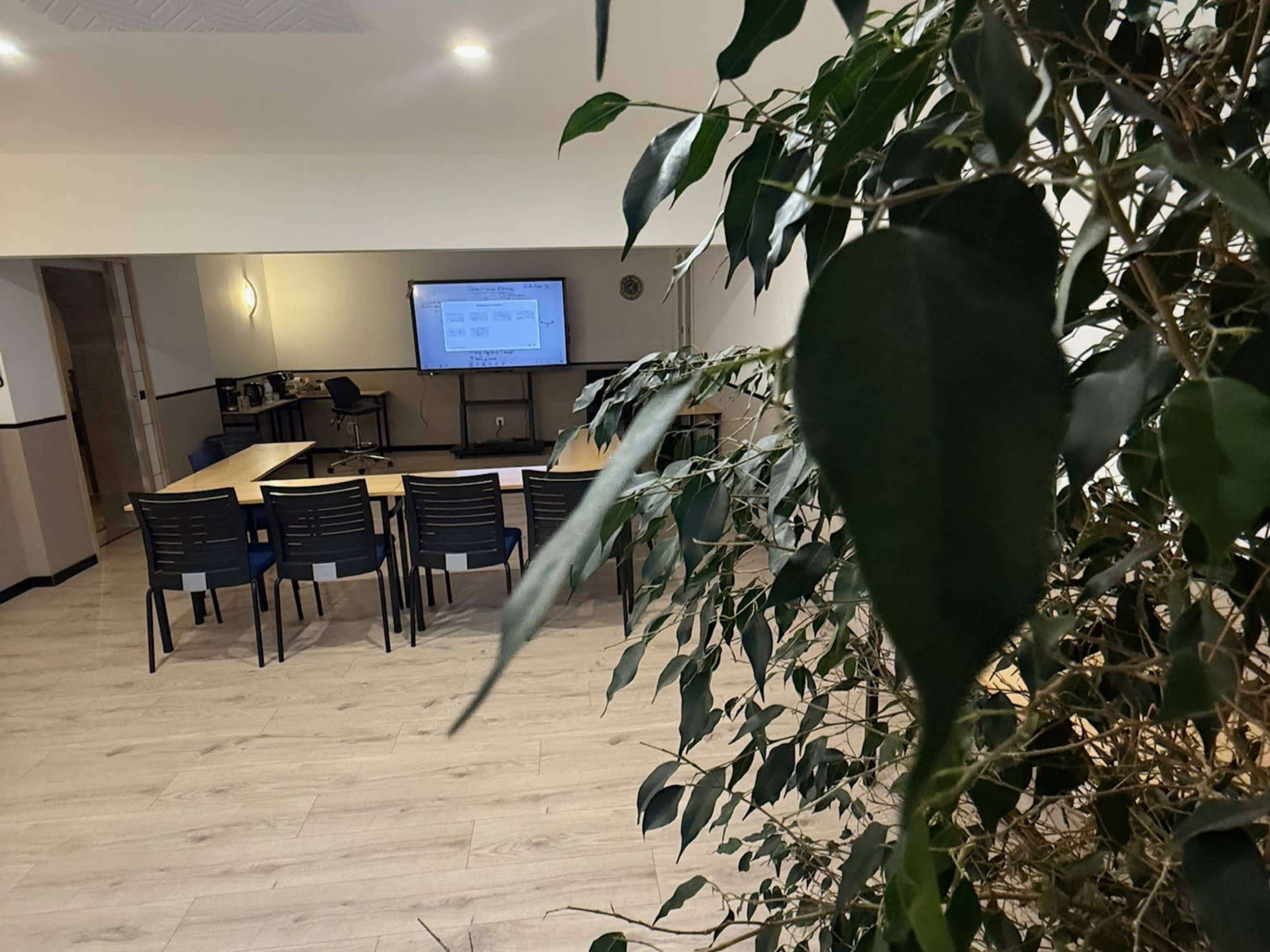 A meeting room with a large screen and tables is visible, framed by indoor plants in the foreground.