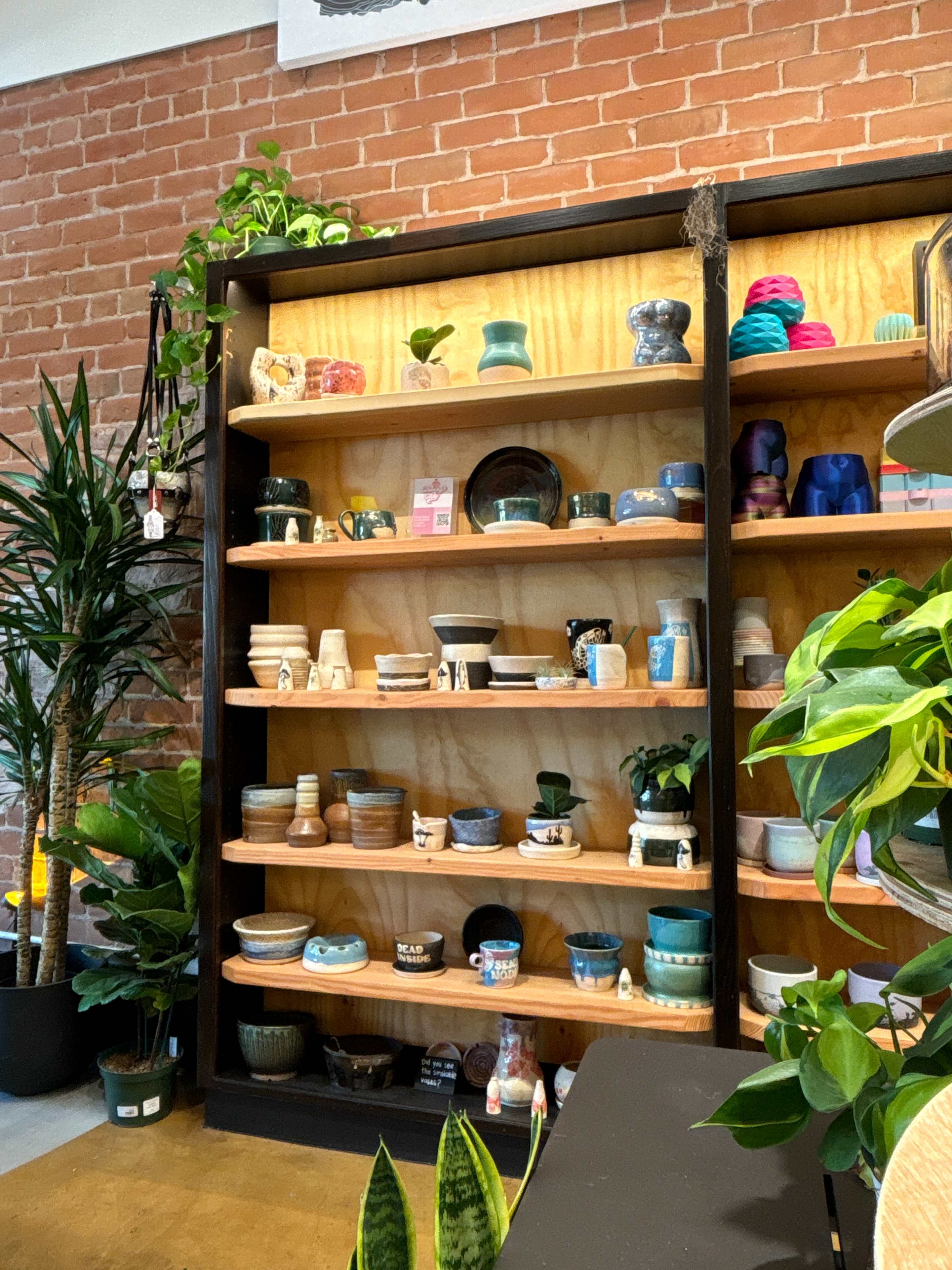 The image shows a wooden shelf filled with various colorful ceramic pots and decorative items, surrounded by lush green plants.