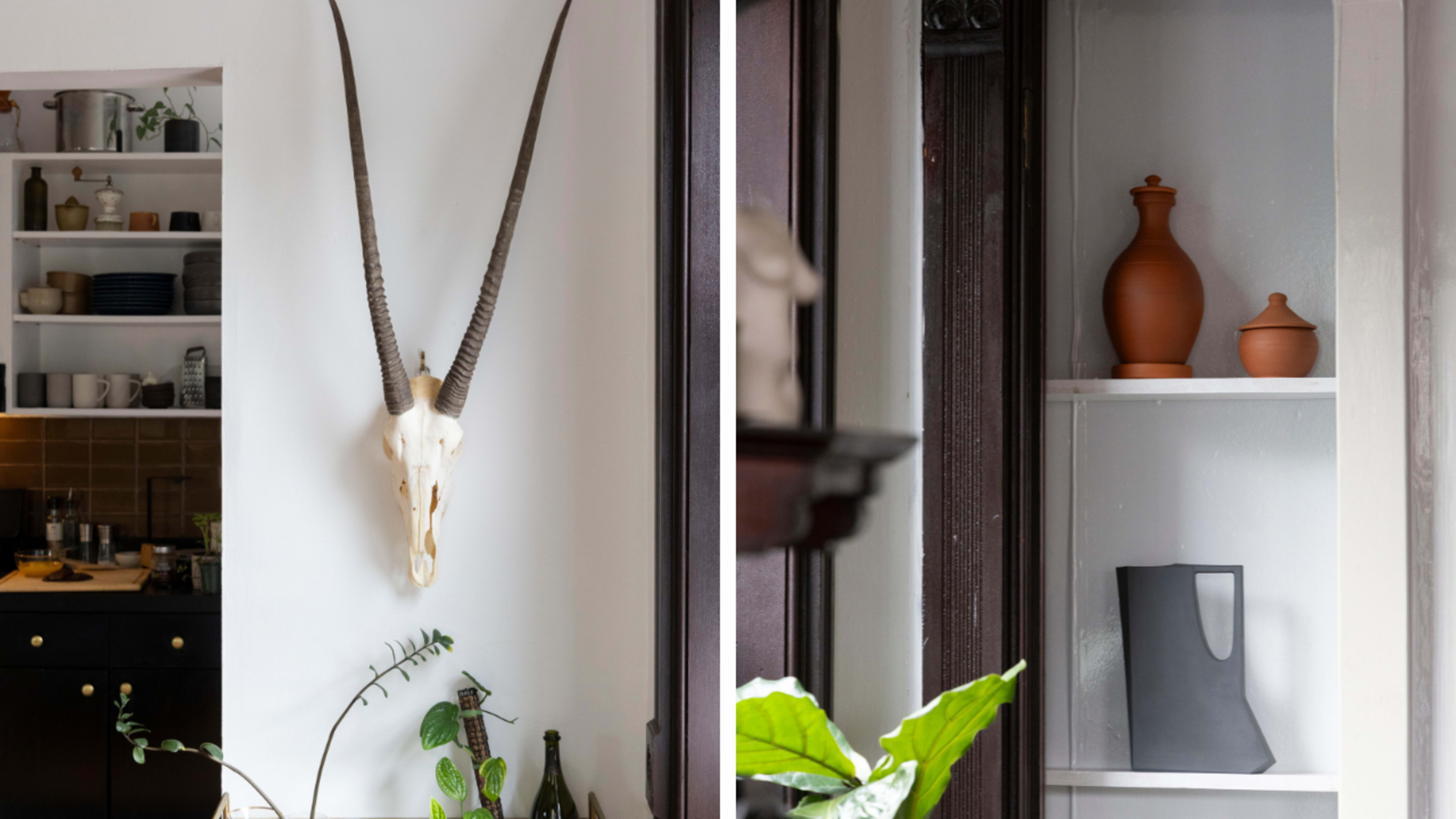The image shows a refined interior space featuring a mounted antelope skull on a wall and a display shelf with terracotta vases and a black object.