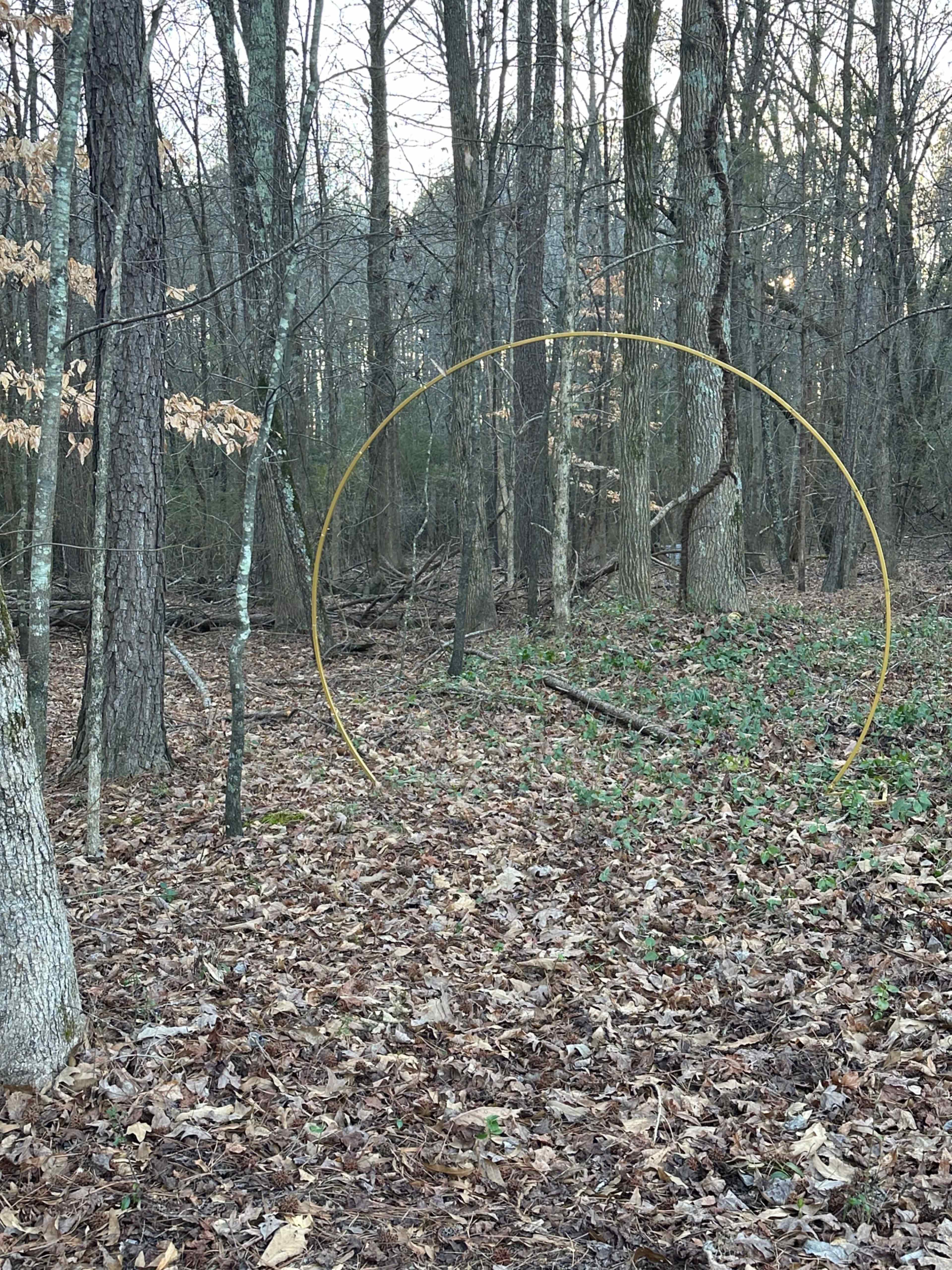 Woodland photo shoot location indoor/outdoor Image in , Buford, GA