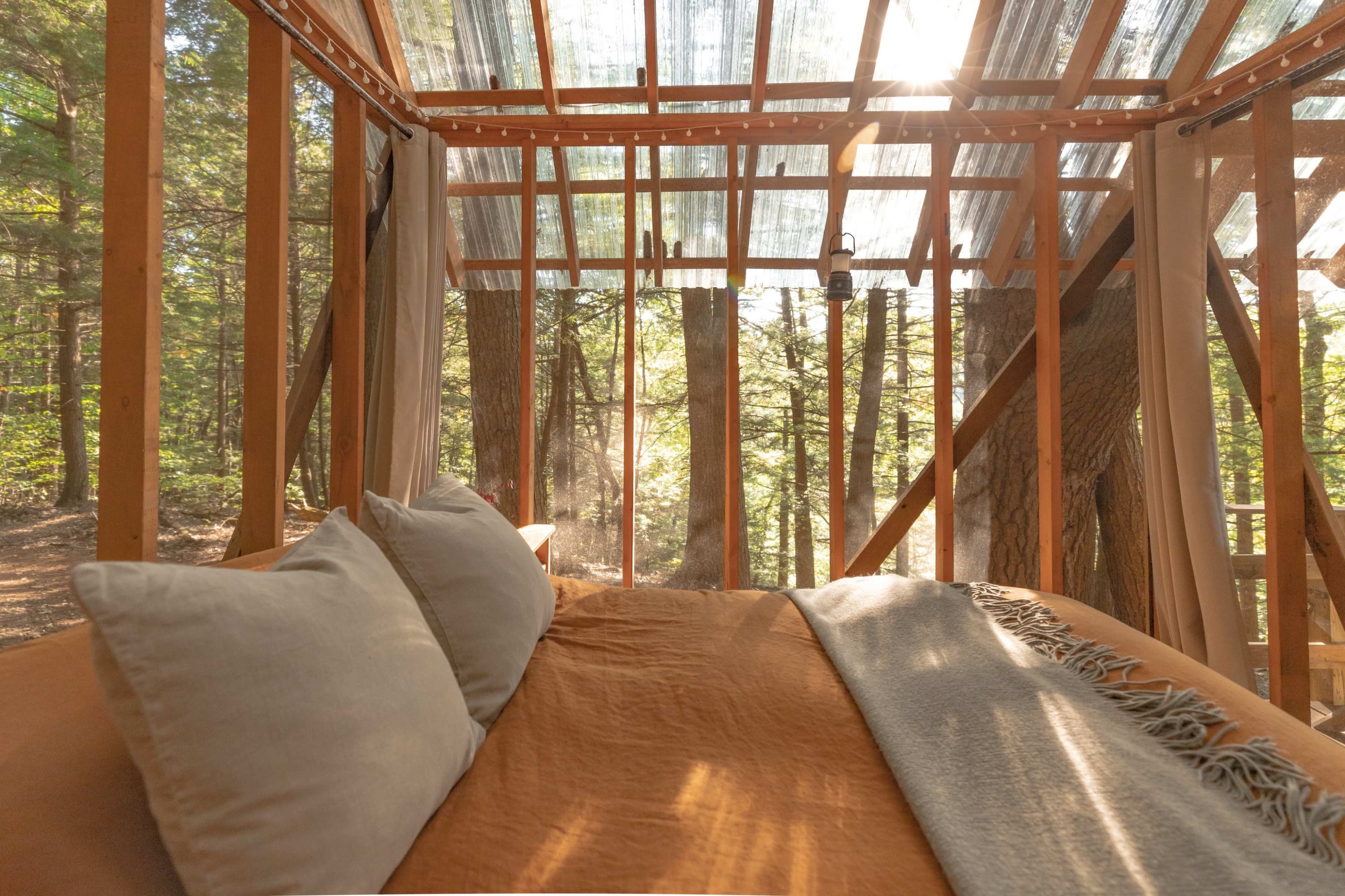 A cozy wooden structure with a bed and large transparent panels surrounded by trees and sunlight filtering through.