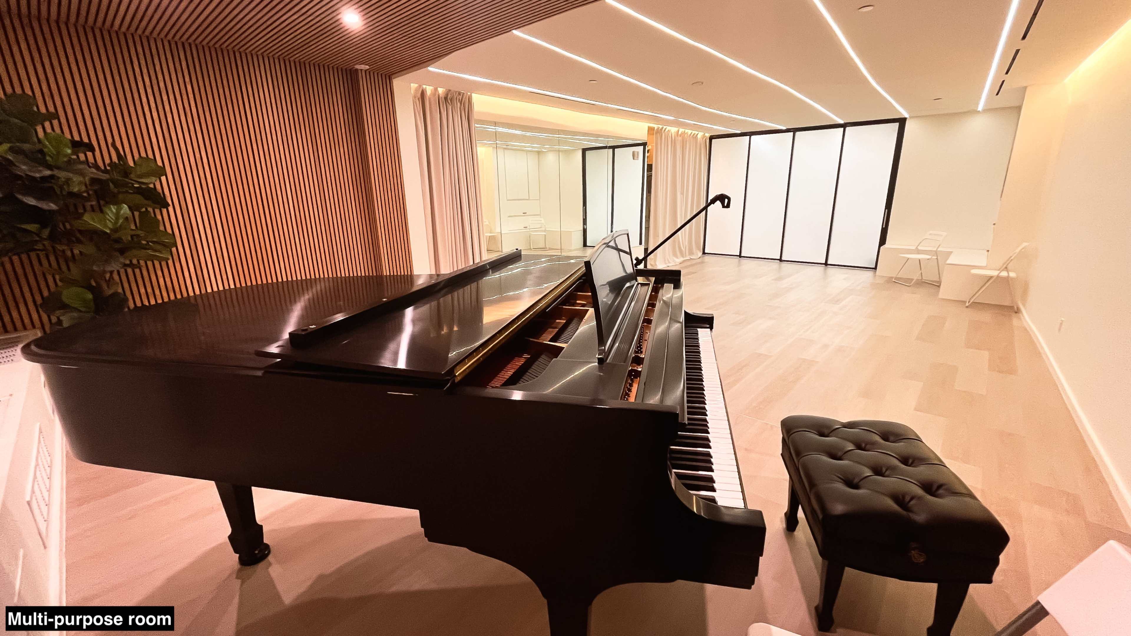 Modern Versatile Recital/Events Hall Image in Lower Manhattan, New York, NY