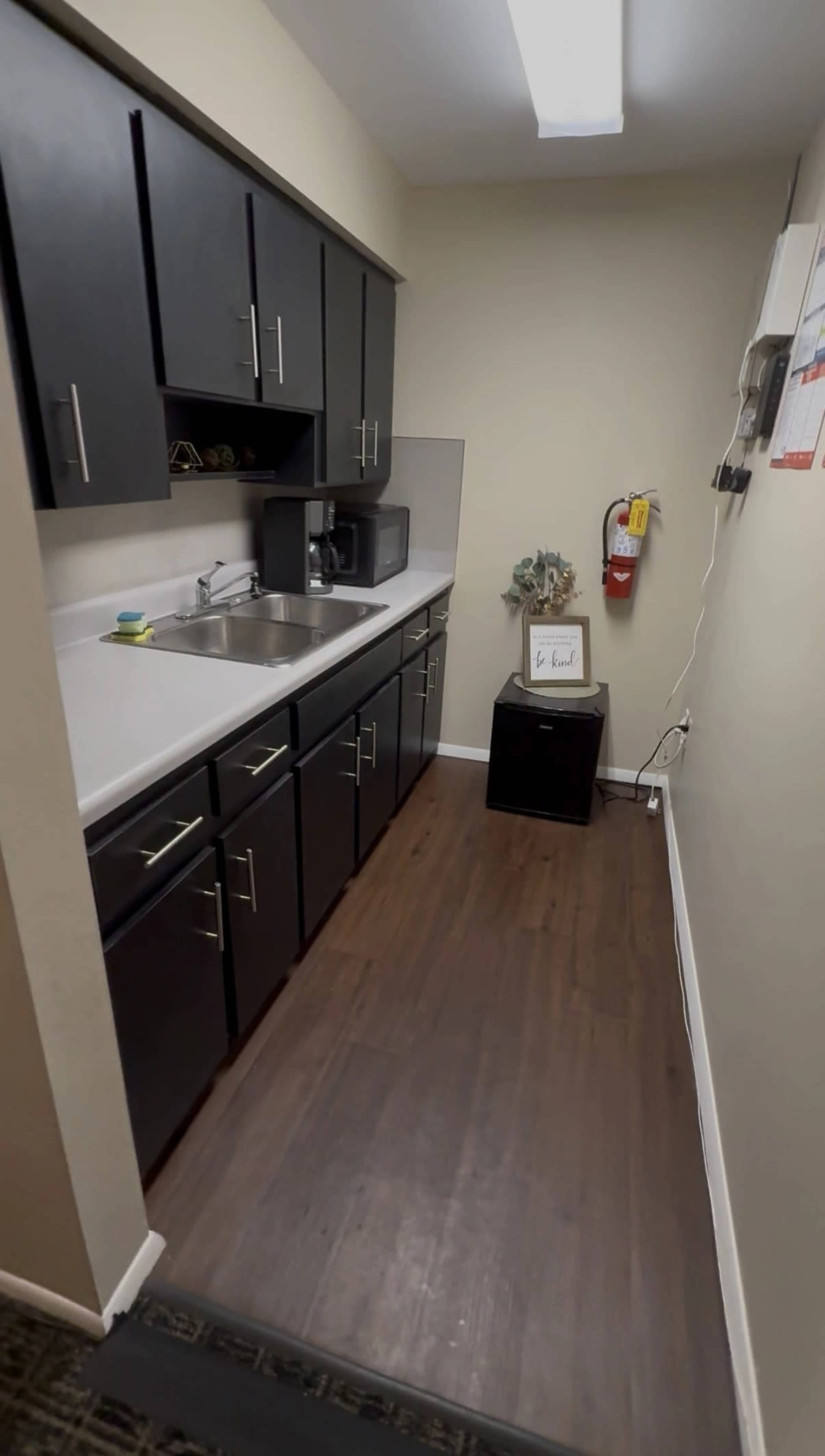 The image shows a small kitchen area featuring dark cabinetry, a sink, a microwave, and a decorative plant on a small black storage unit.