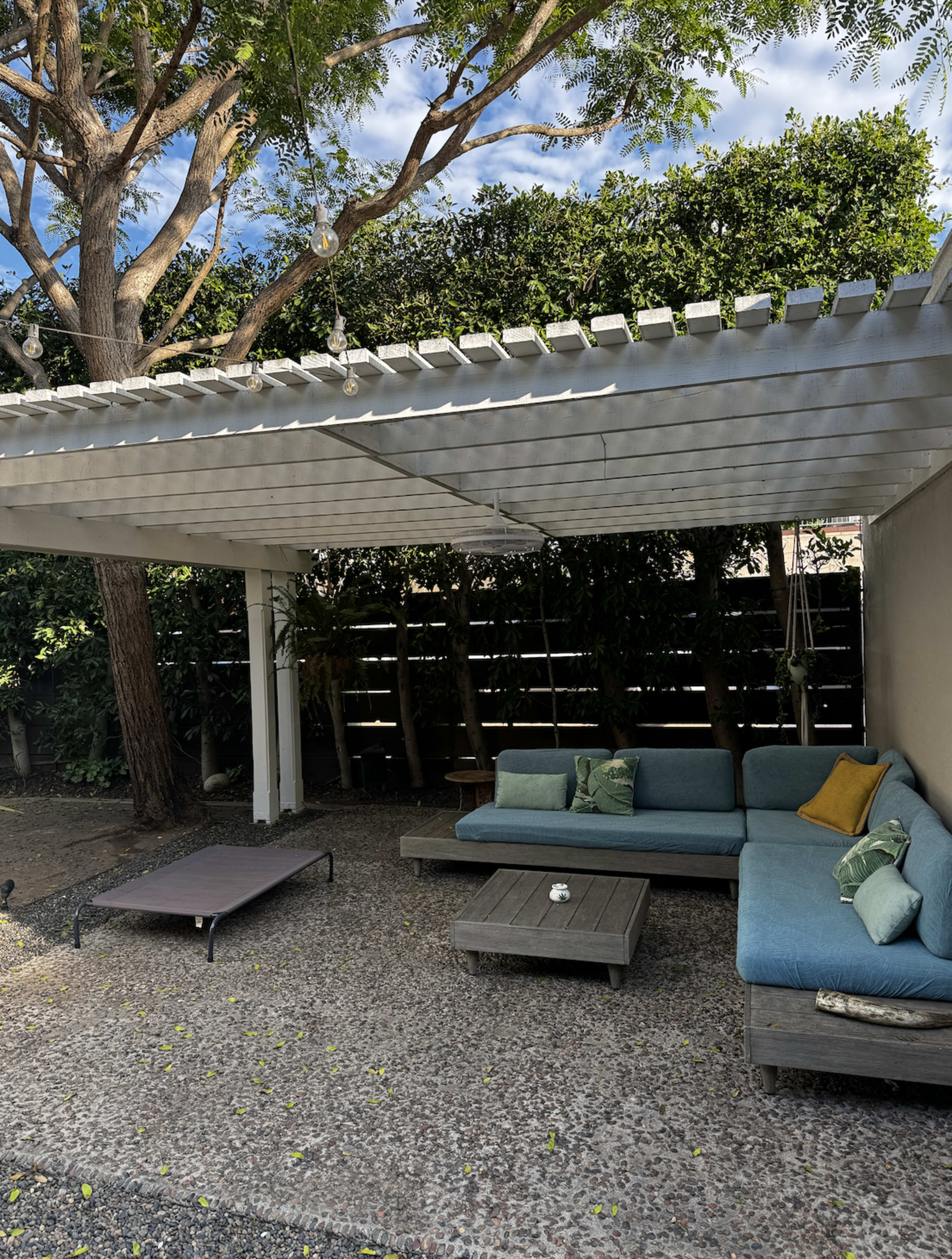 Mid-Century Eclectic in Santa Monica with Backyard Image in Sunset Park, Santa Monica, CA