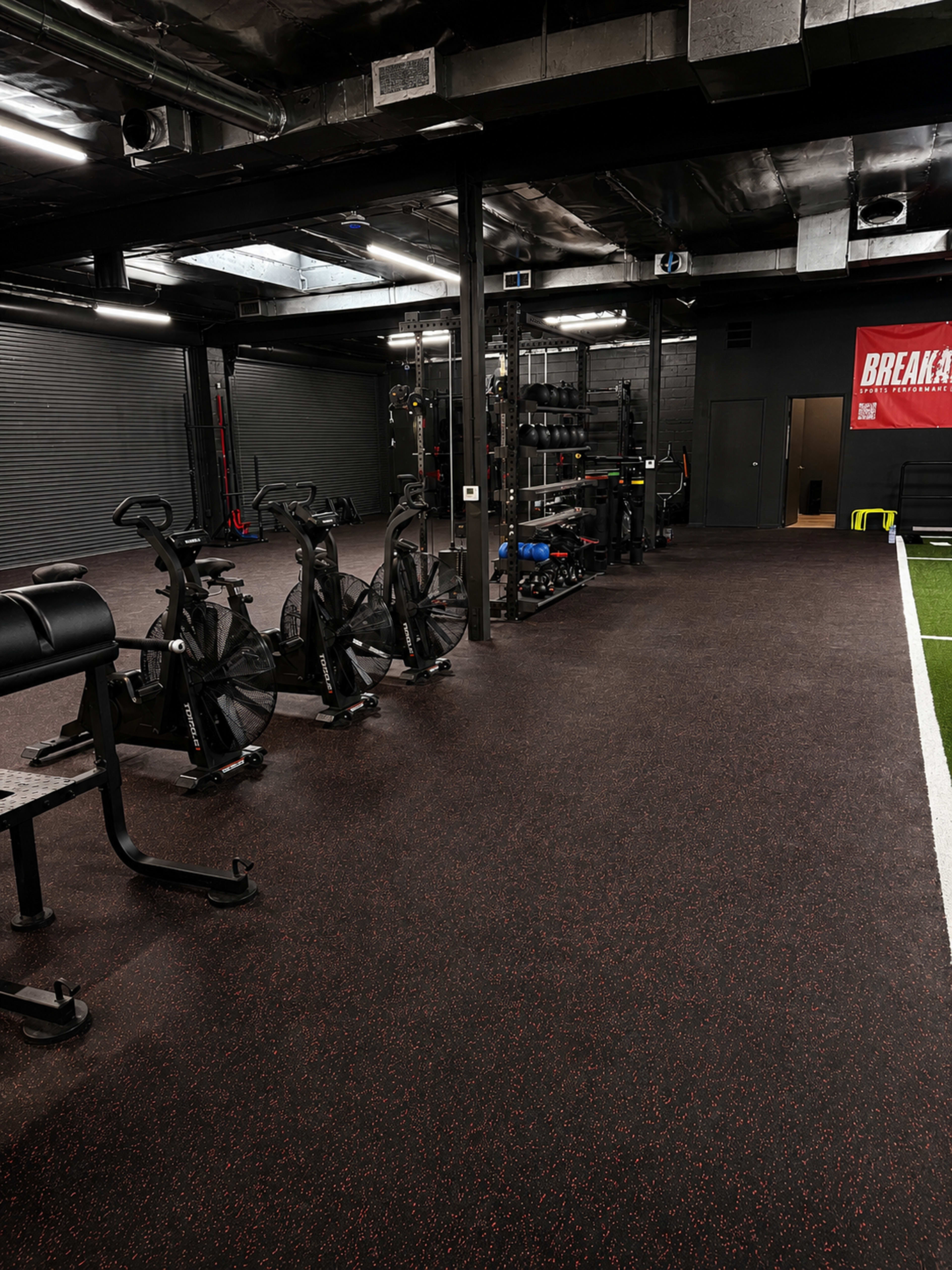 The image shows a gym interior featuring exercise bikes lined against one wall, free weights on racks, and a green turf area.
