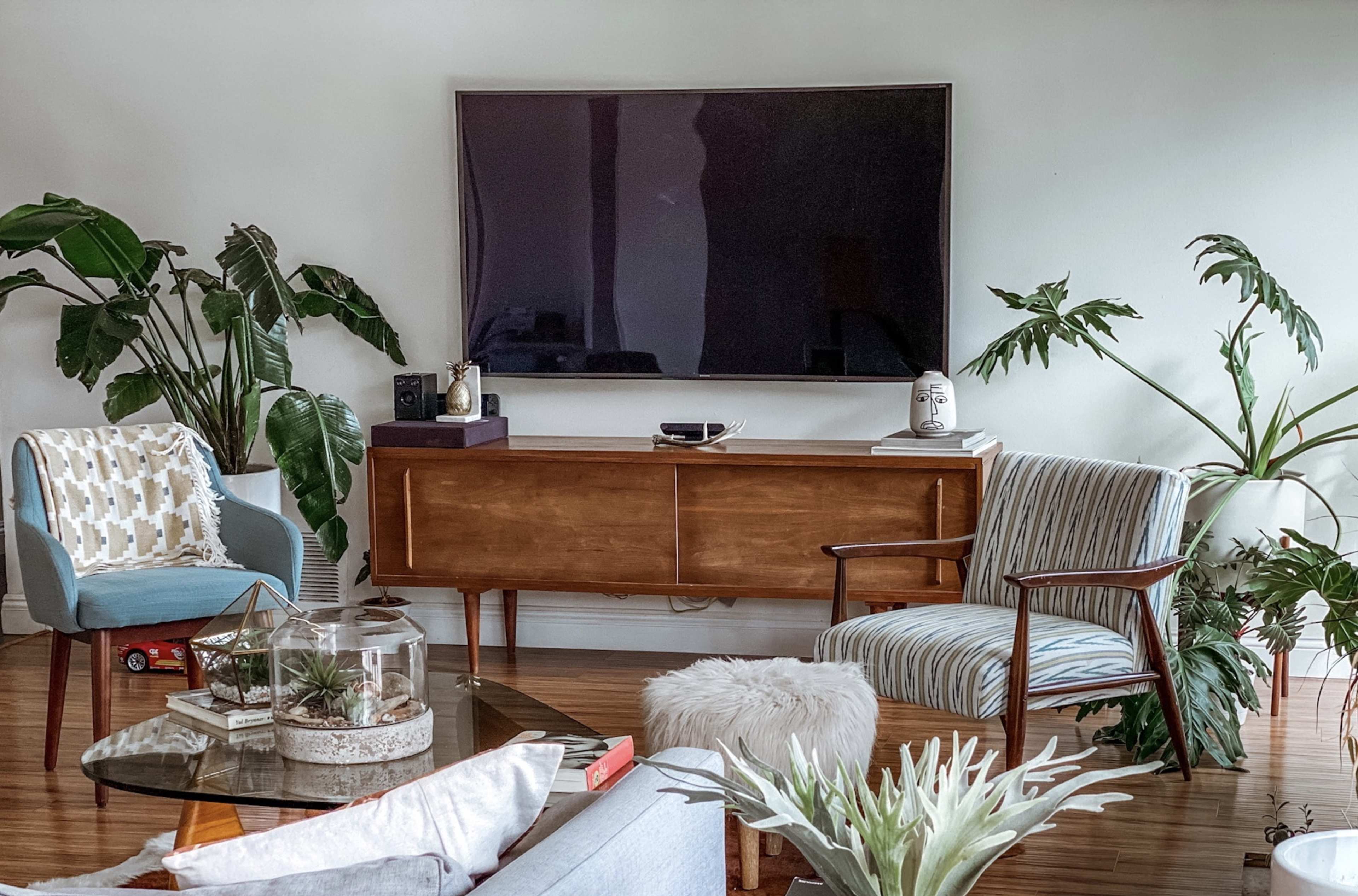 A modern living room features a wooden media console against a wall with a large flat-screen TV, accompanied by two chairs, a glass coffee table, and several indoor plants.