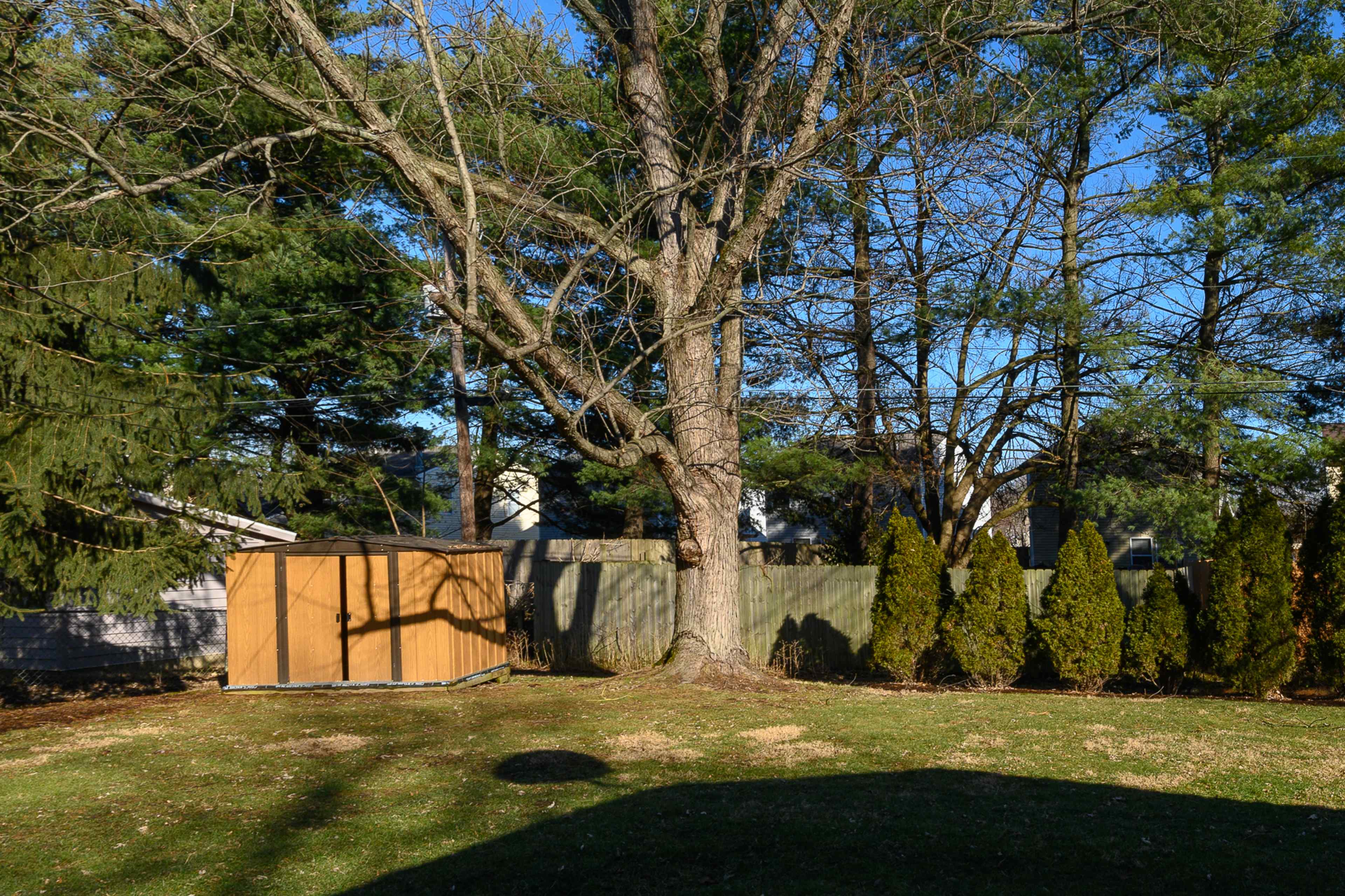 A wooden shed is situated under a large tree in a yard surrounded by tall shrubs and a wooden fence.