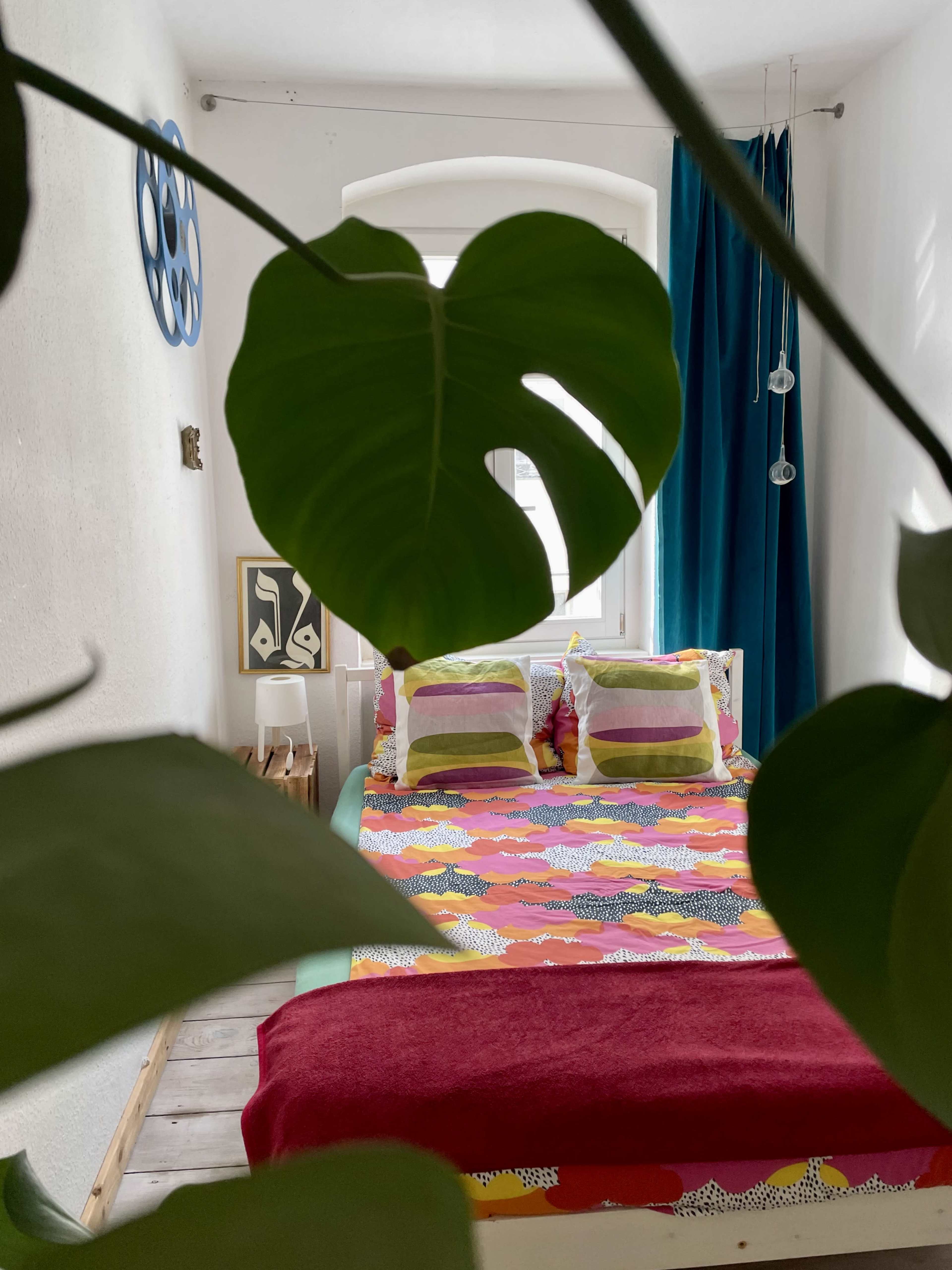 A colorful bedroom is visible through the leaves of a plant, showcasing a patterned bedspread and vibrant decor.