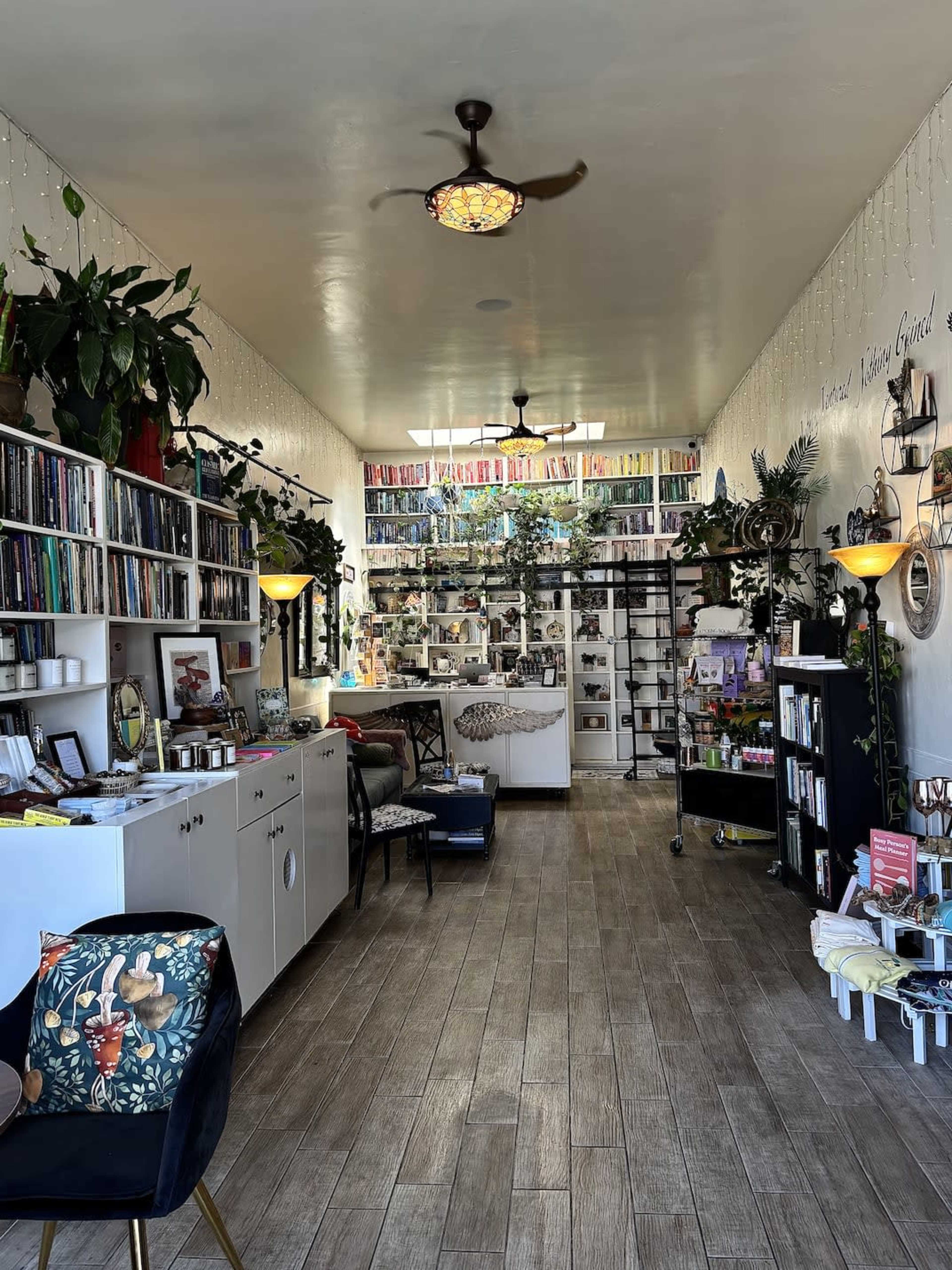 The image shows the interior of a cozy bookstore with rows of bookshelves, a reading area, and various decorative plants.