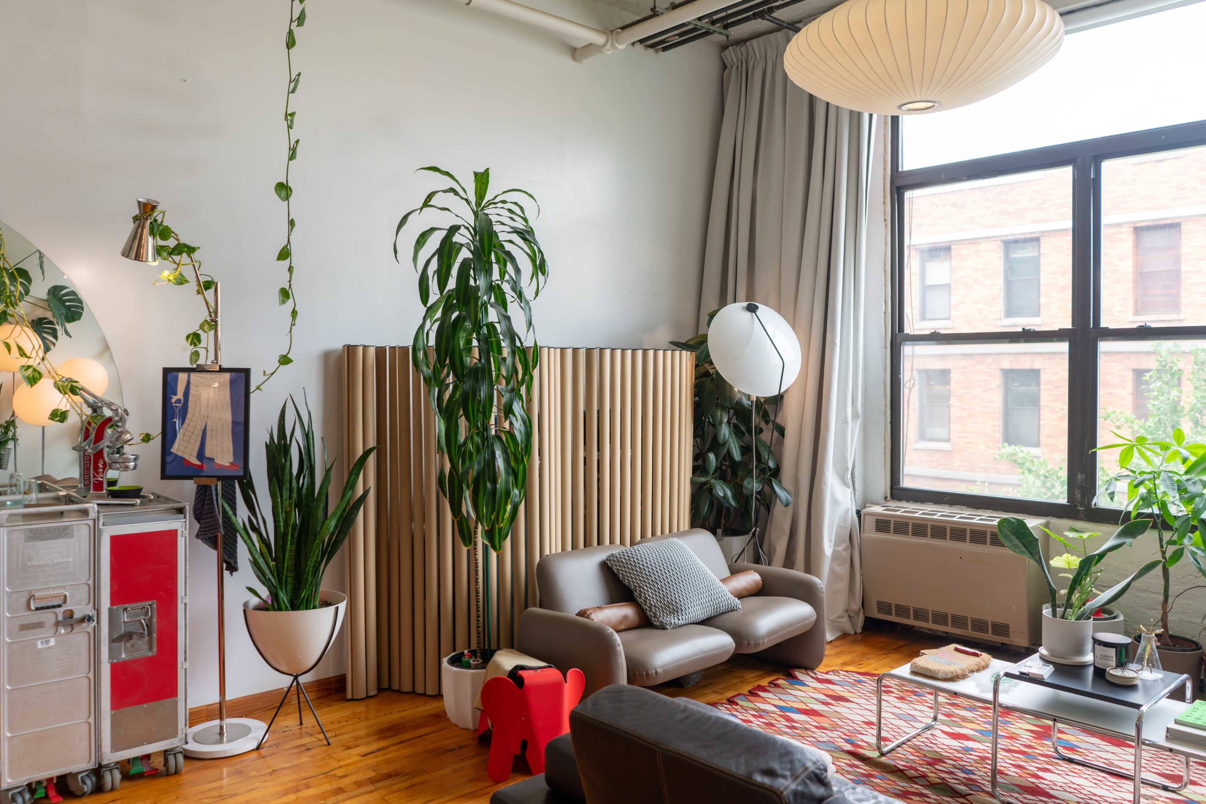 Designer Loft with 14ft Windows & Lush Greenery Image in Bushwick, Brooklyn, NY