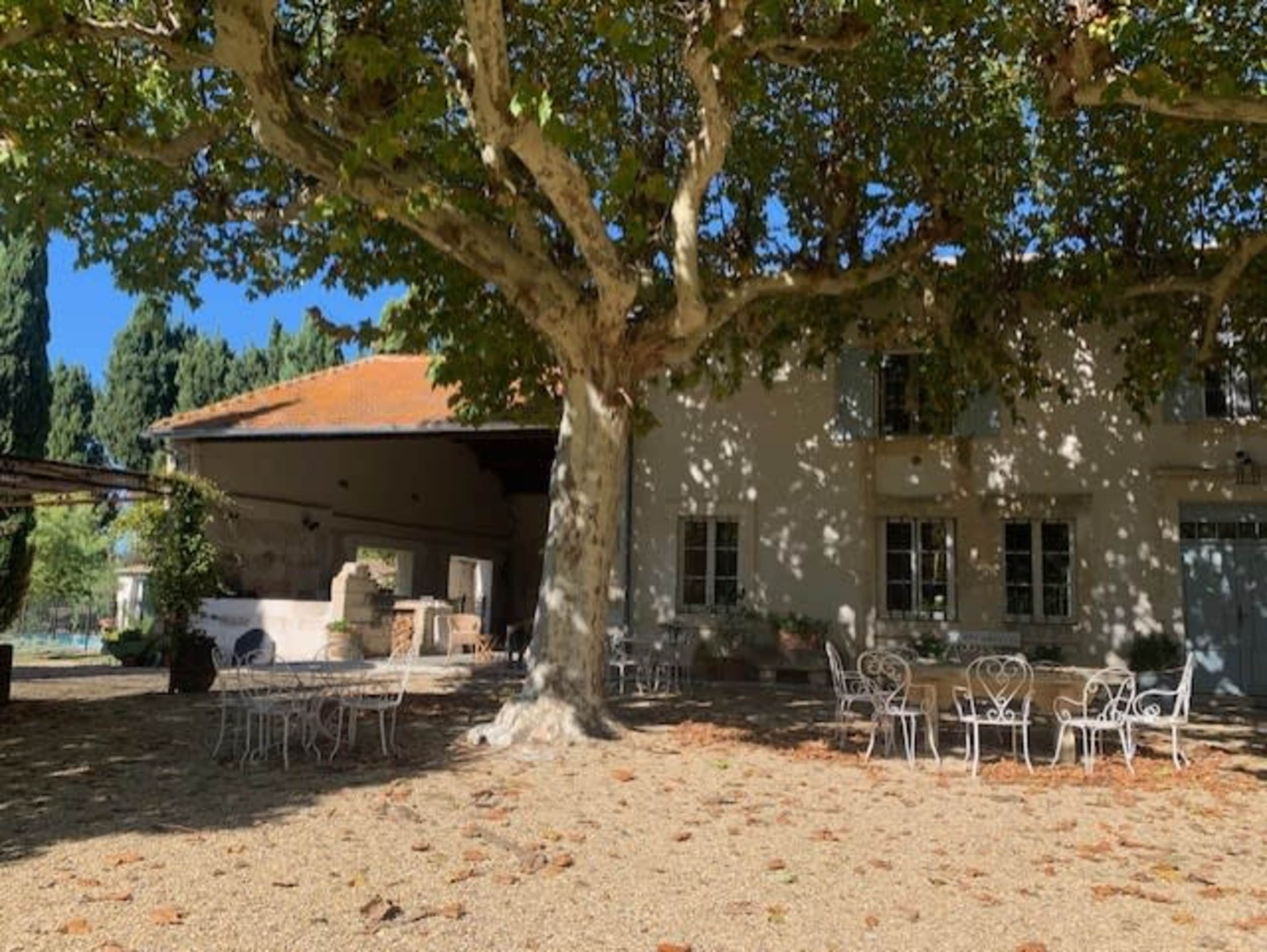 A large tree provides shade over outdoor seating in front of a rustic building.