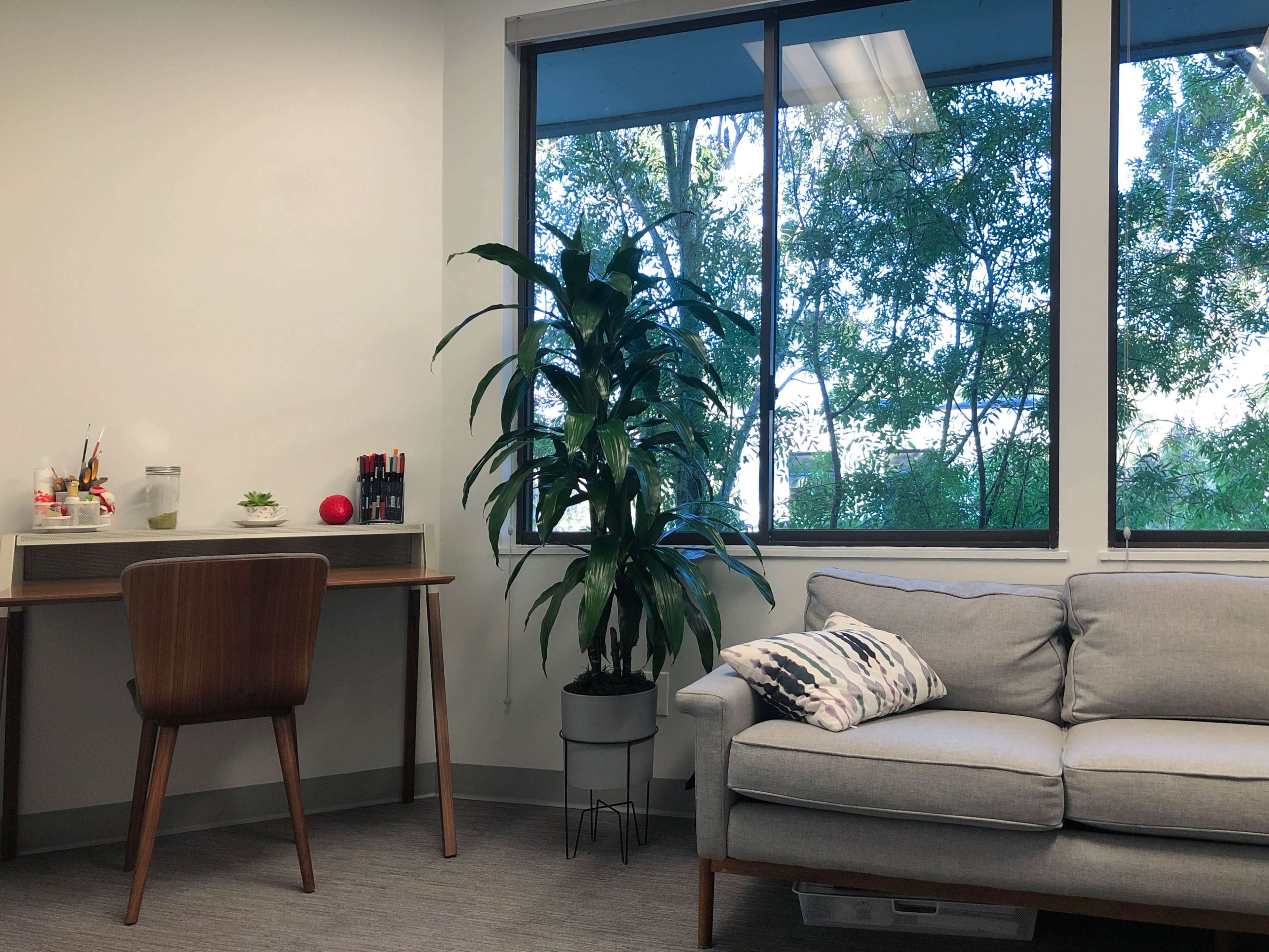 A corner of a well-lit office with a gray sofa, a wooden desk with office supplies, and a large potted plant next to a window overlooking greenery.