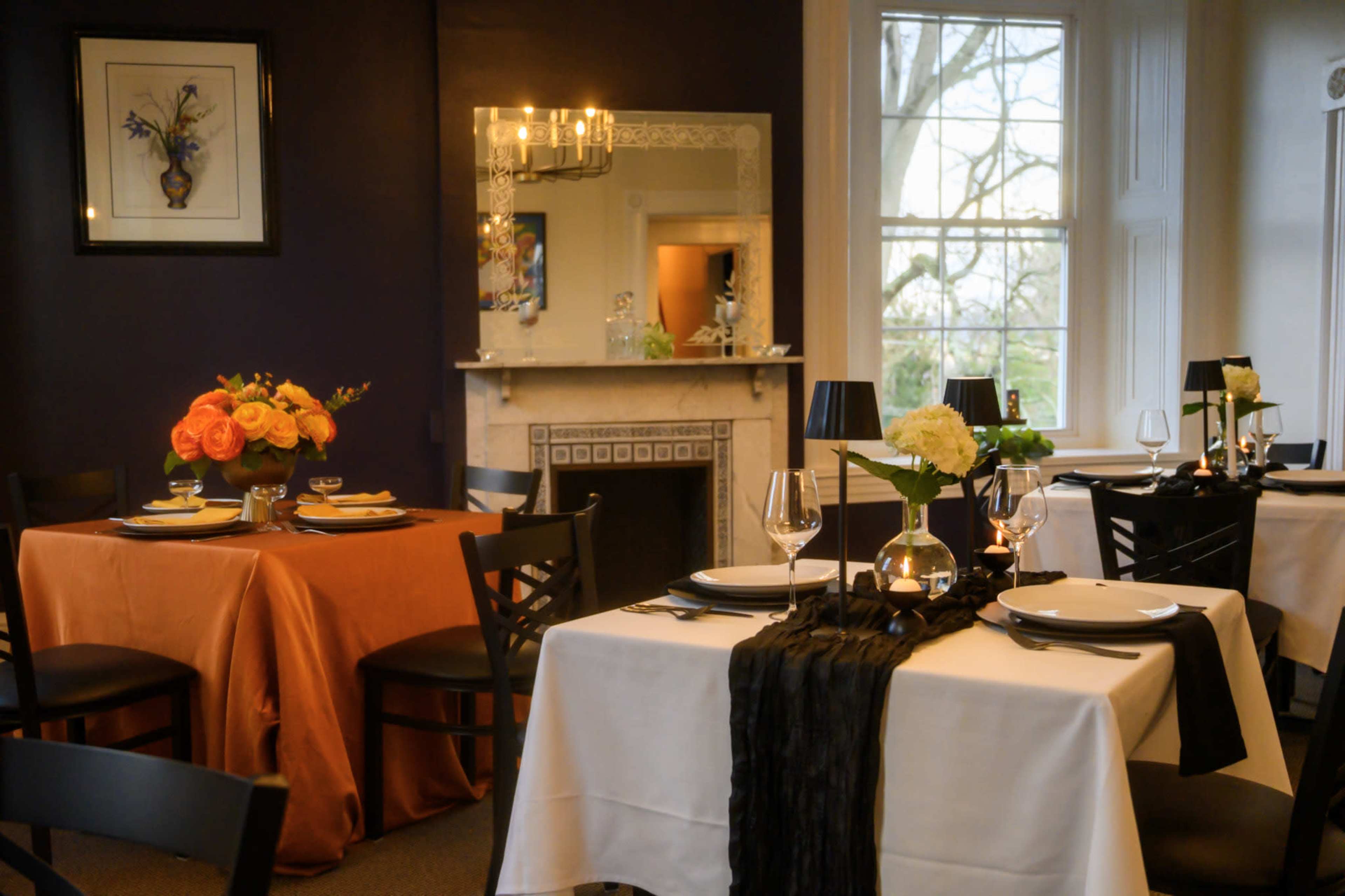 Dragonfly at the Buchanan Mansion Image in Caln Township, Thorndale, PA