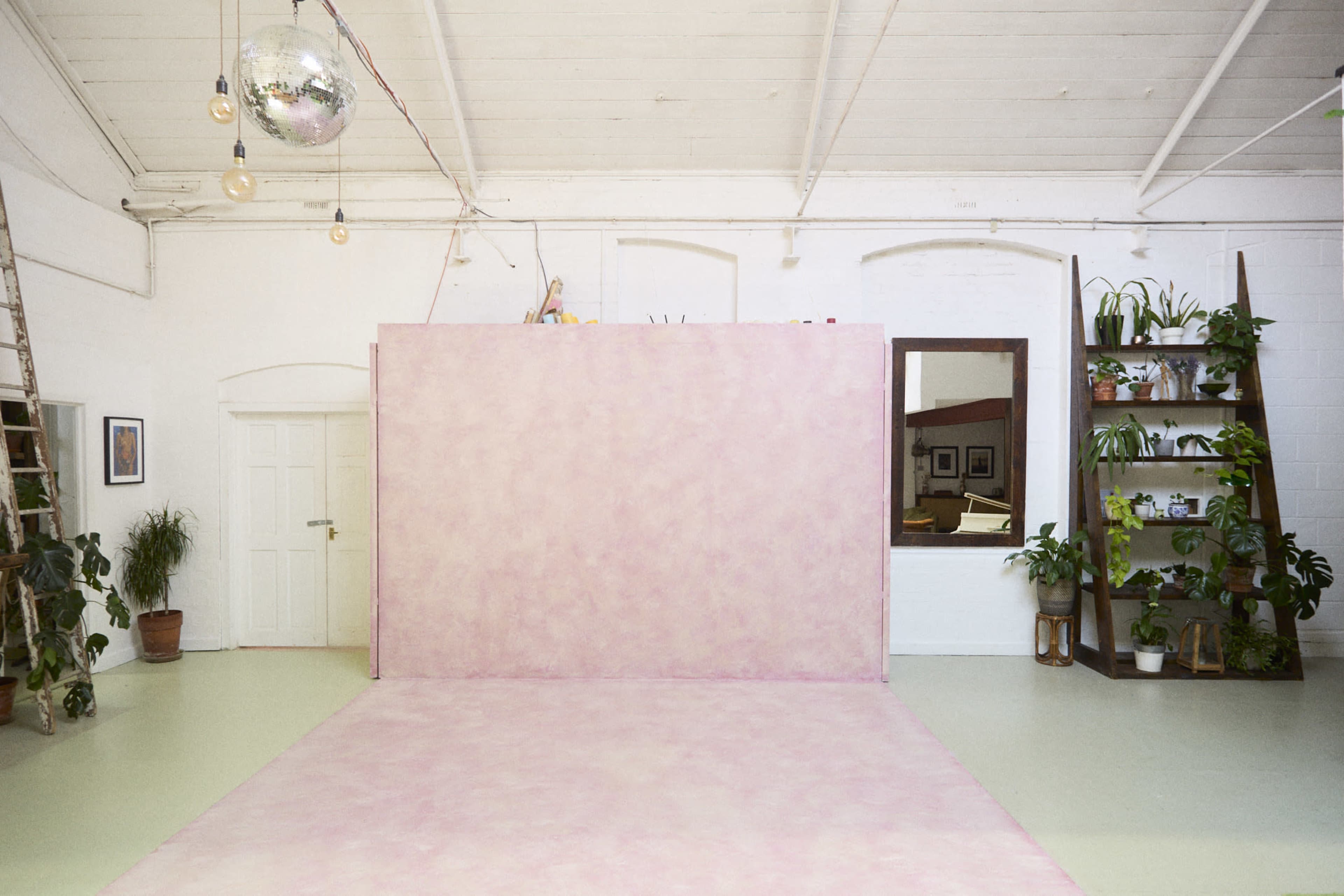 A bright studio space featuring a pink backdrop, a large window, a ladder, and several potted plants.