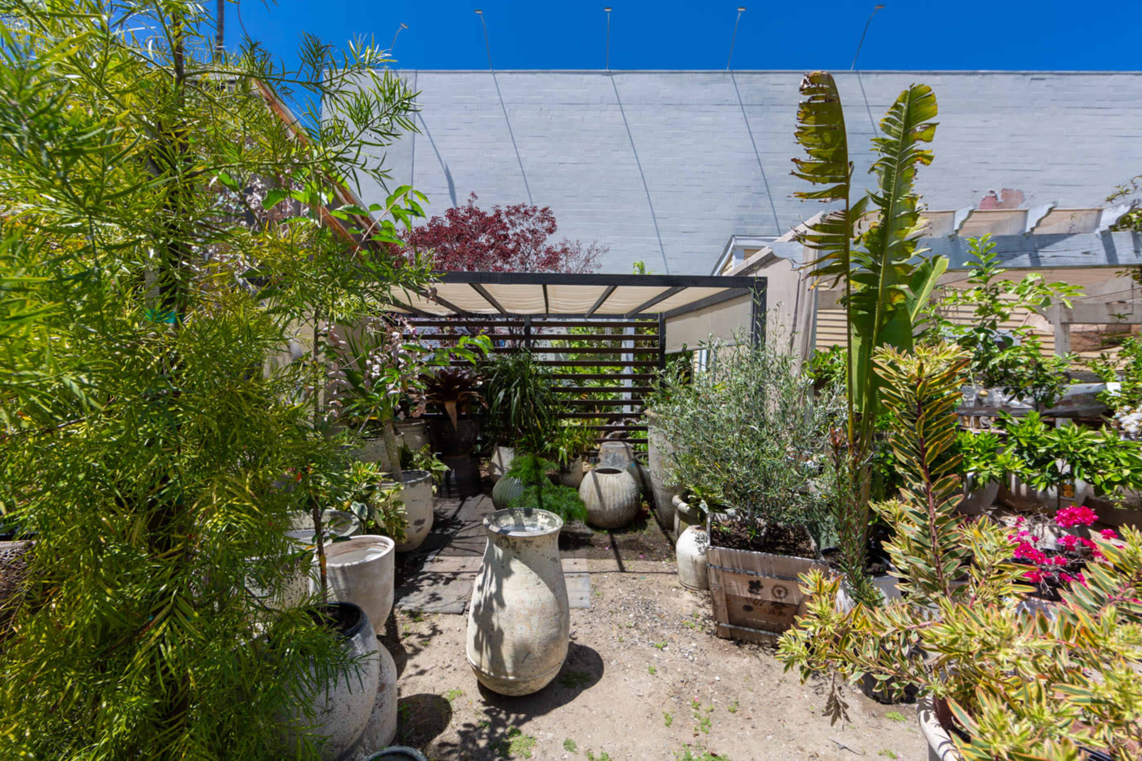 A garden space features various potted plants and decorative containers under a structured canopy.