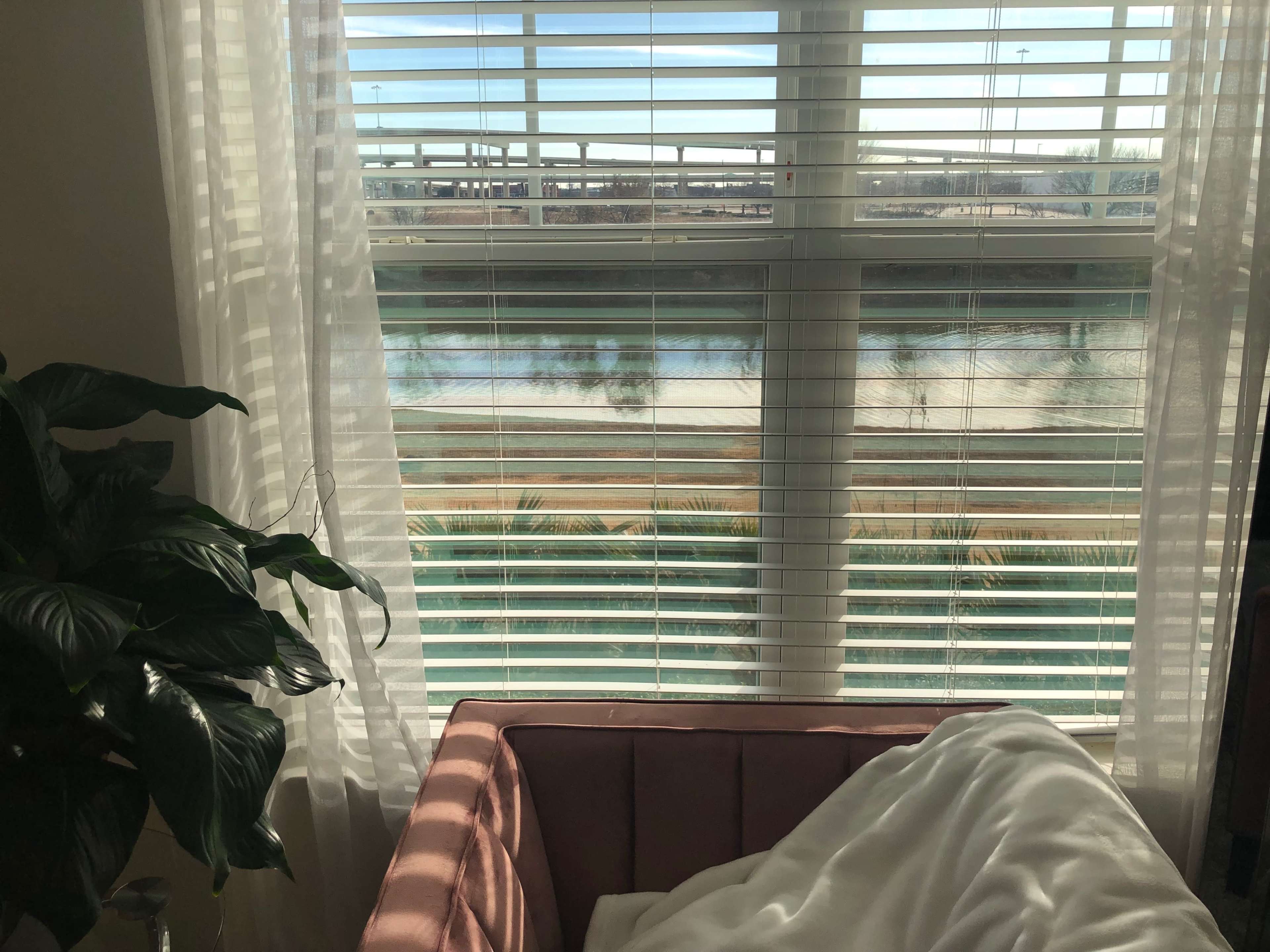 A view of a calm body of water is seen through window blinds, with a plant and a draped blanket positioned in the foreground.