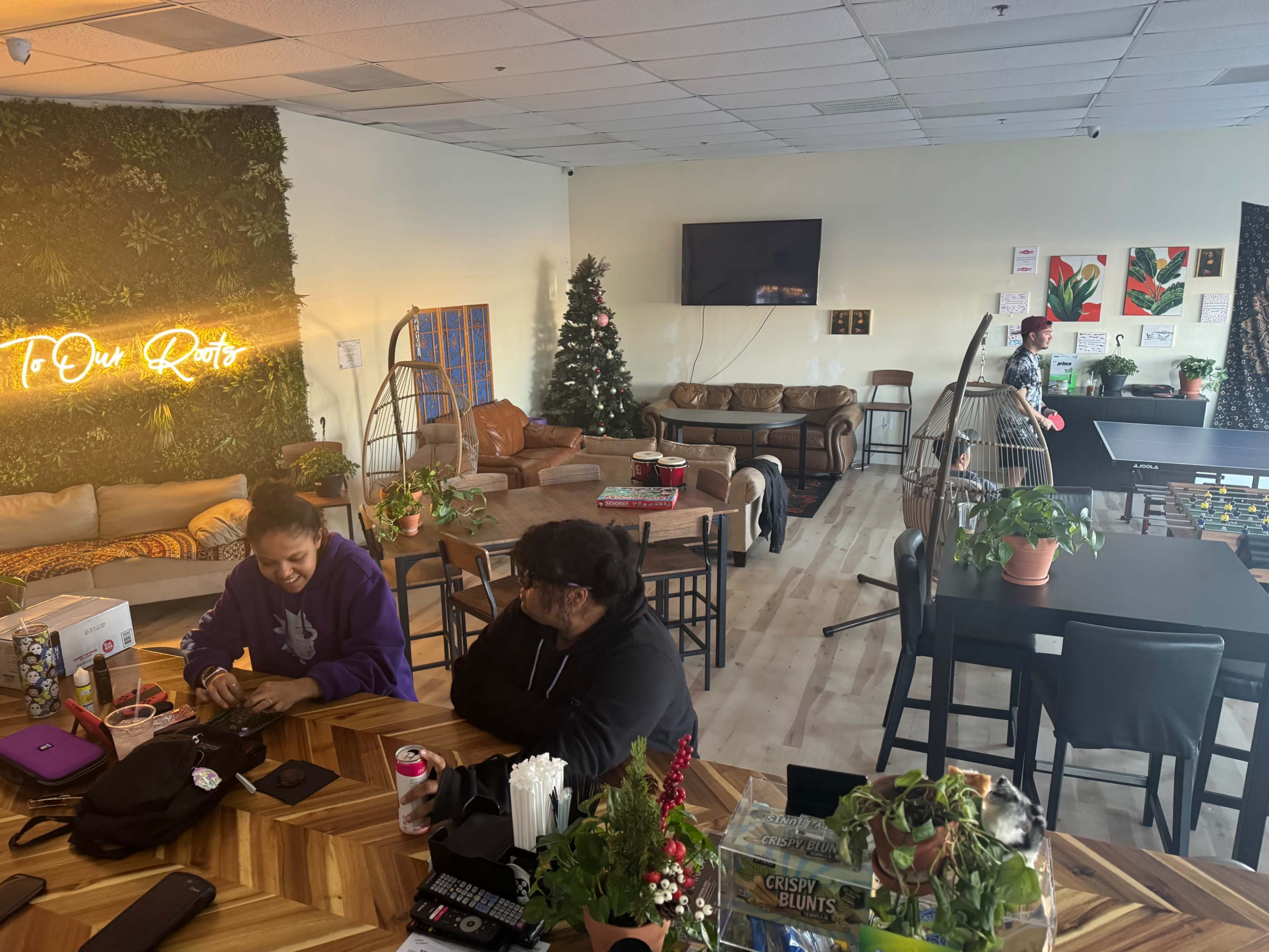 The Hangout Lounge - Ping Pong, Plants & Vibes Image in Pinellas Park, Pinellas Park, FL
