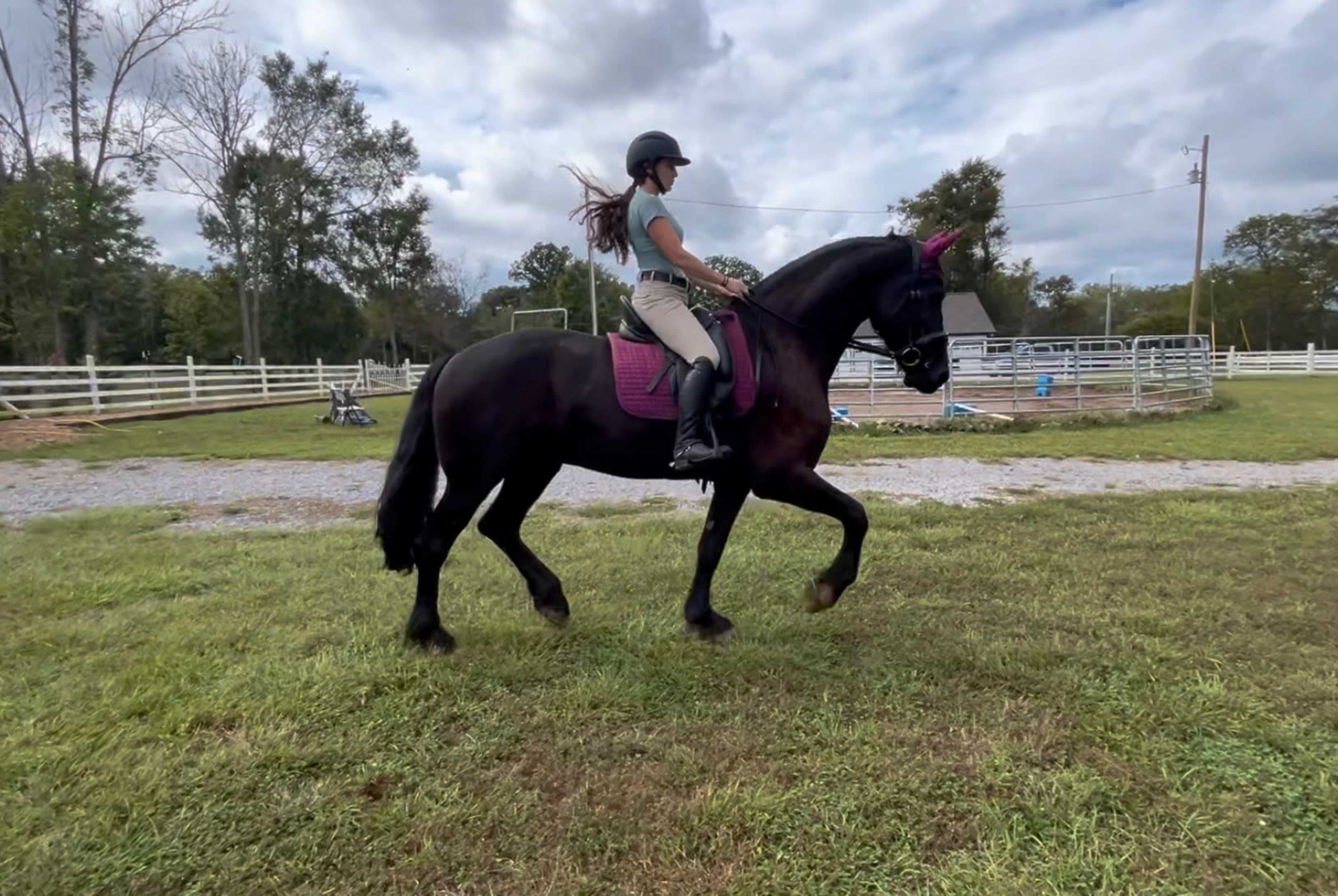 Farm and Equestrian location for filming Image in , Eagleville, TN