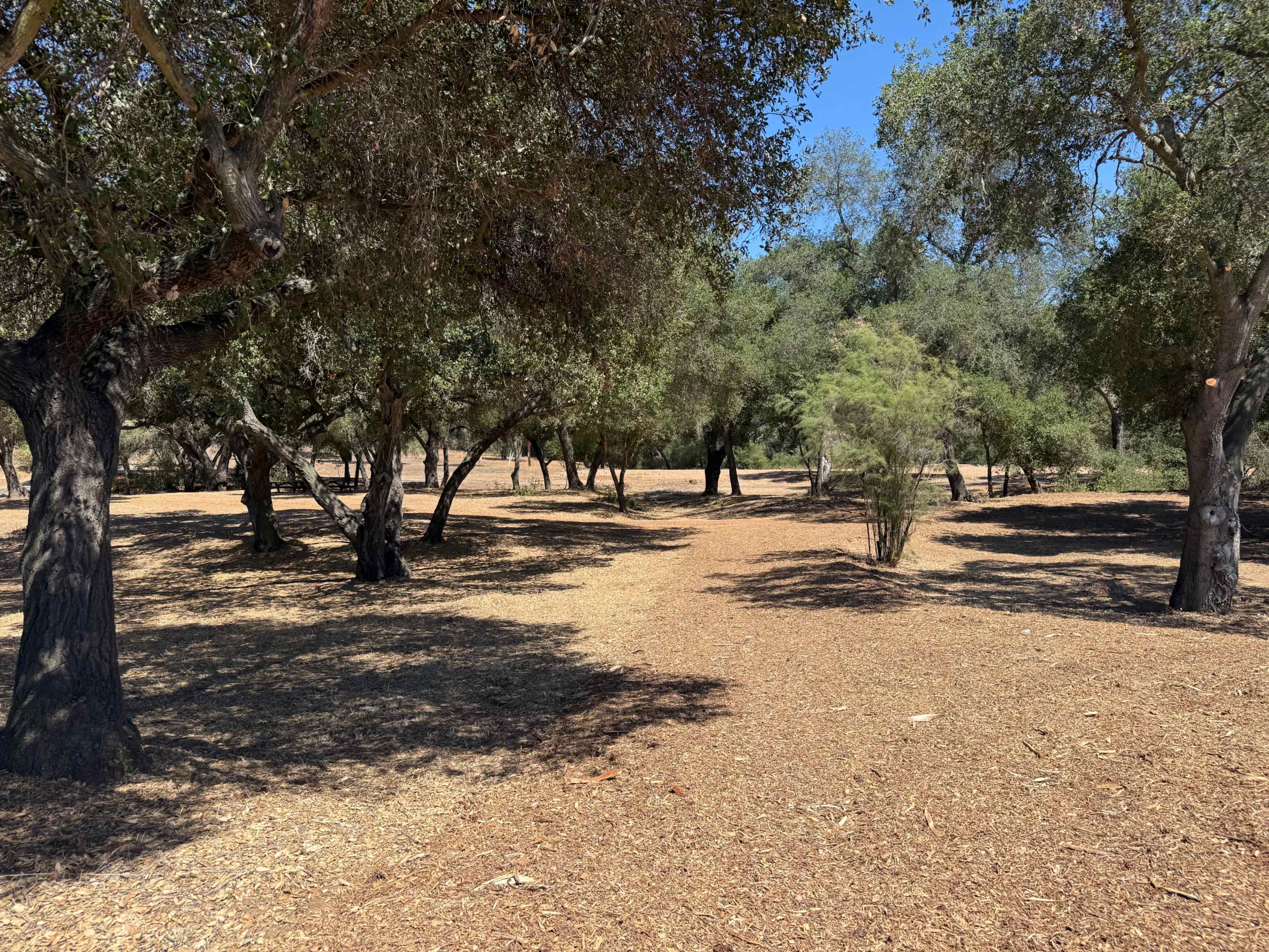Oak Meadow Park Image in , Escondido, CA
