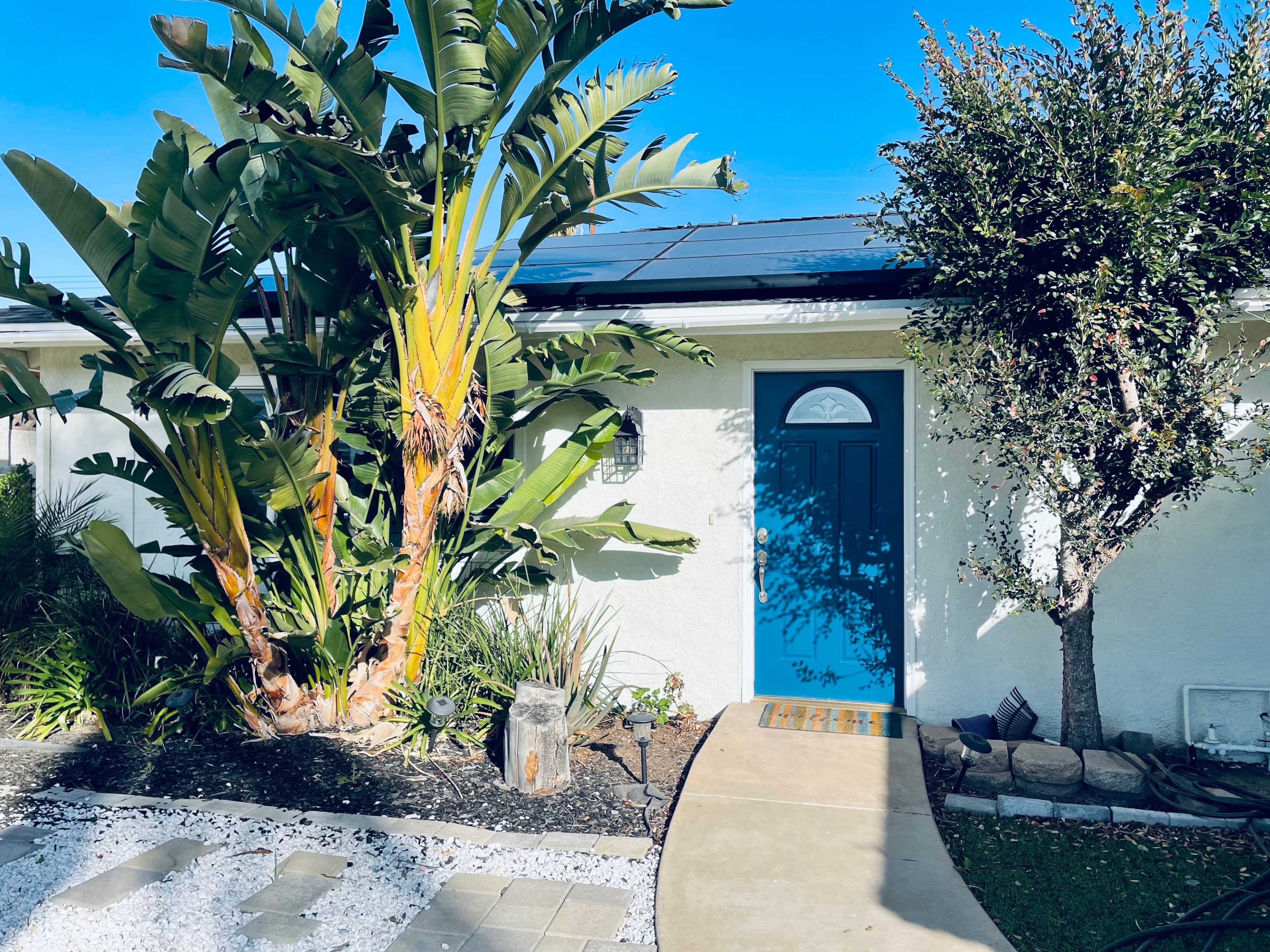 A blue front door is framed by tall banana plants and a small tree, leading to a pathway made of concrete and stone.