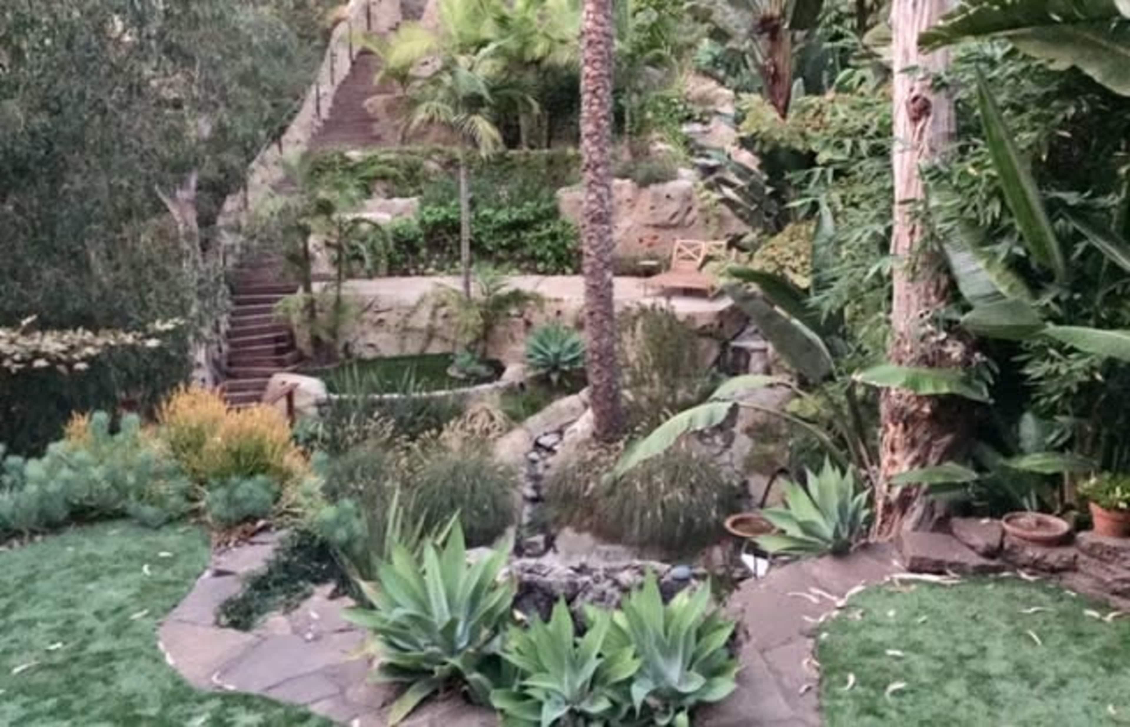 The image shows a lush garden featuring a stone pathway, palm trees, various plants, and a small water feature surrounded by rock formations.