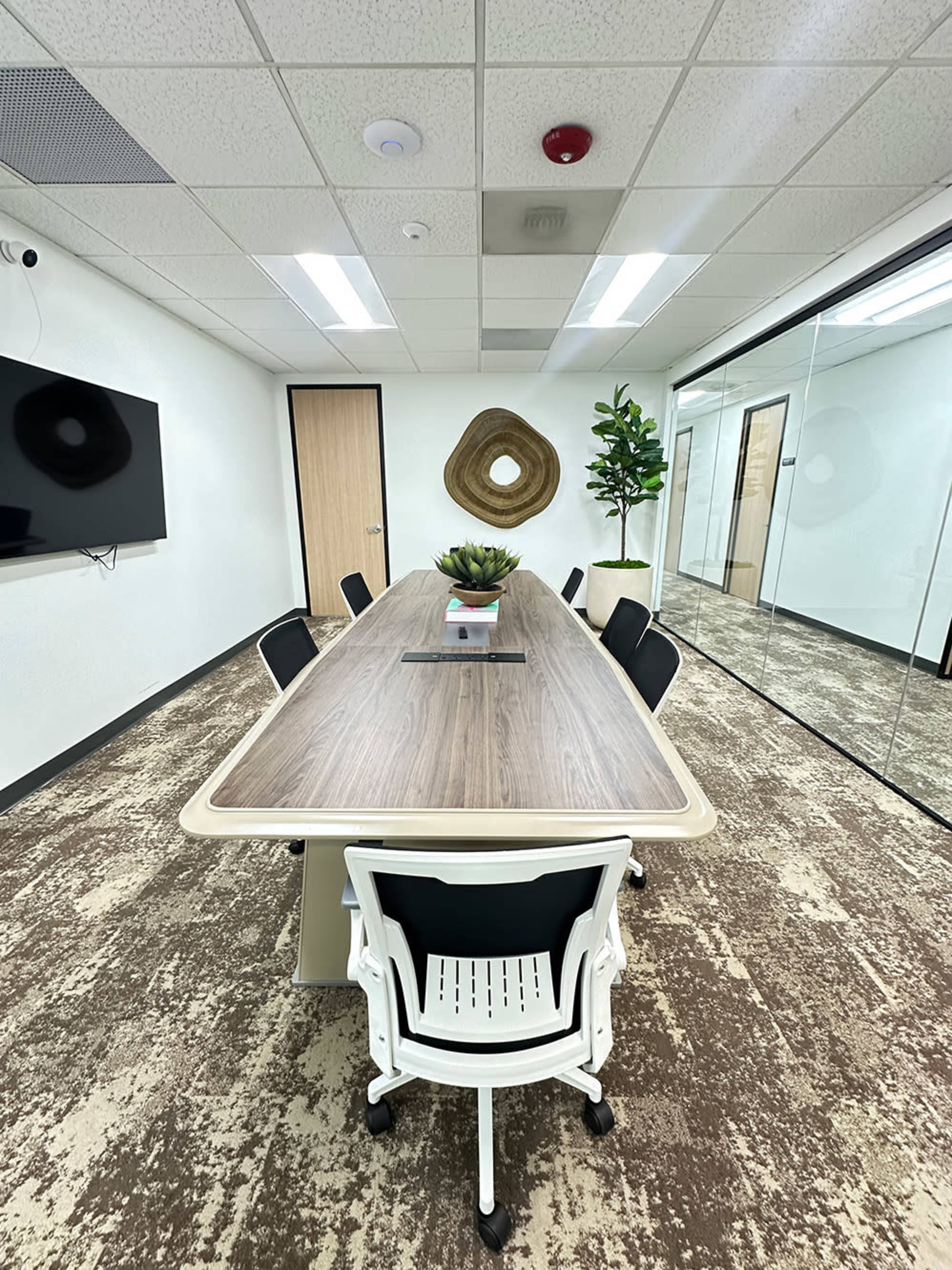 The image shows a modern conference room with a long table surrounded by white chairs, a wall-mounted TV, and a large glass panel separating it from an adjacent area featuring a decorative plant.