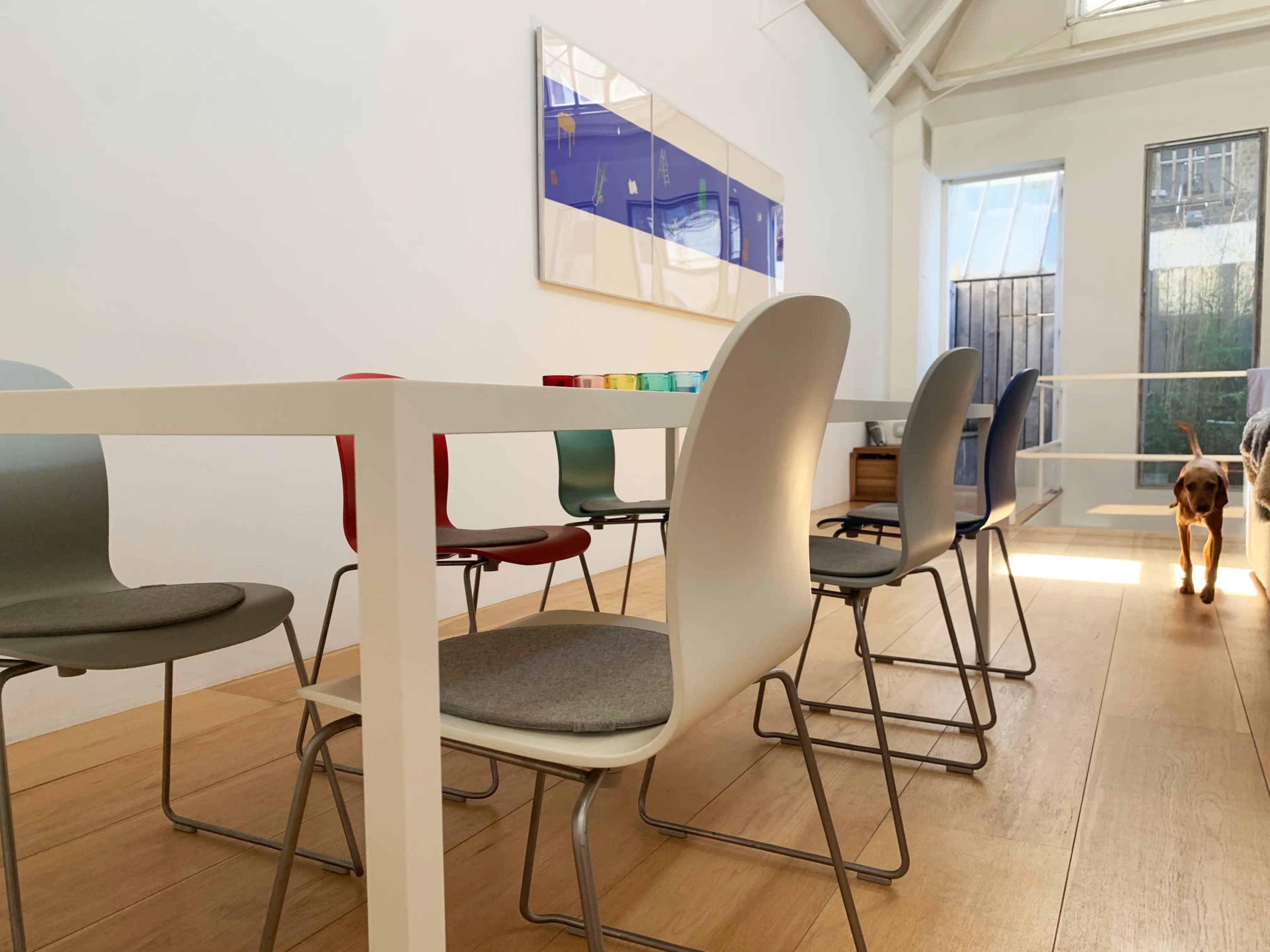 A minimalist dining area features a white table surrounded by colorful chairs, with a dog walking through the space.