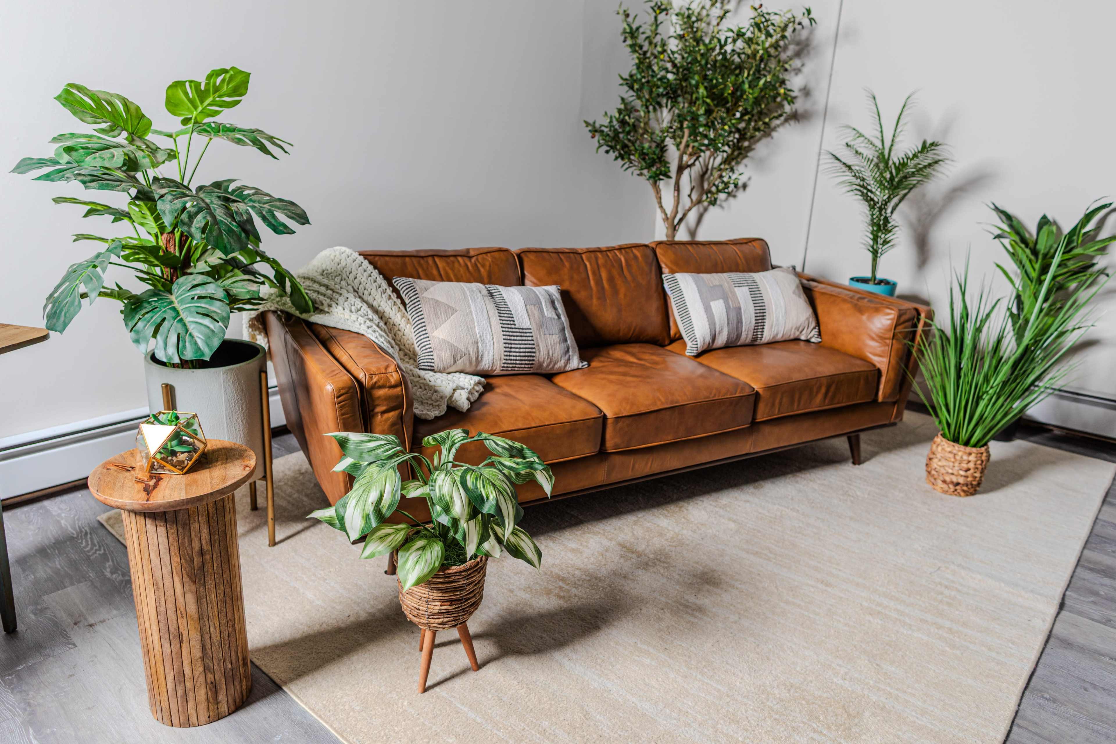 The image shows a living room with a brown leather sofa, decorative pillows, various plants in pots, and a light area rug.
