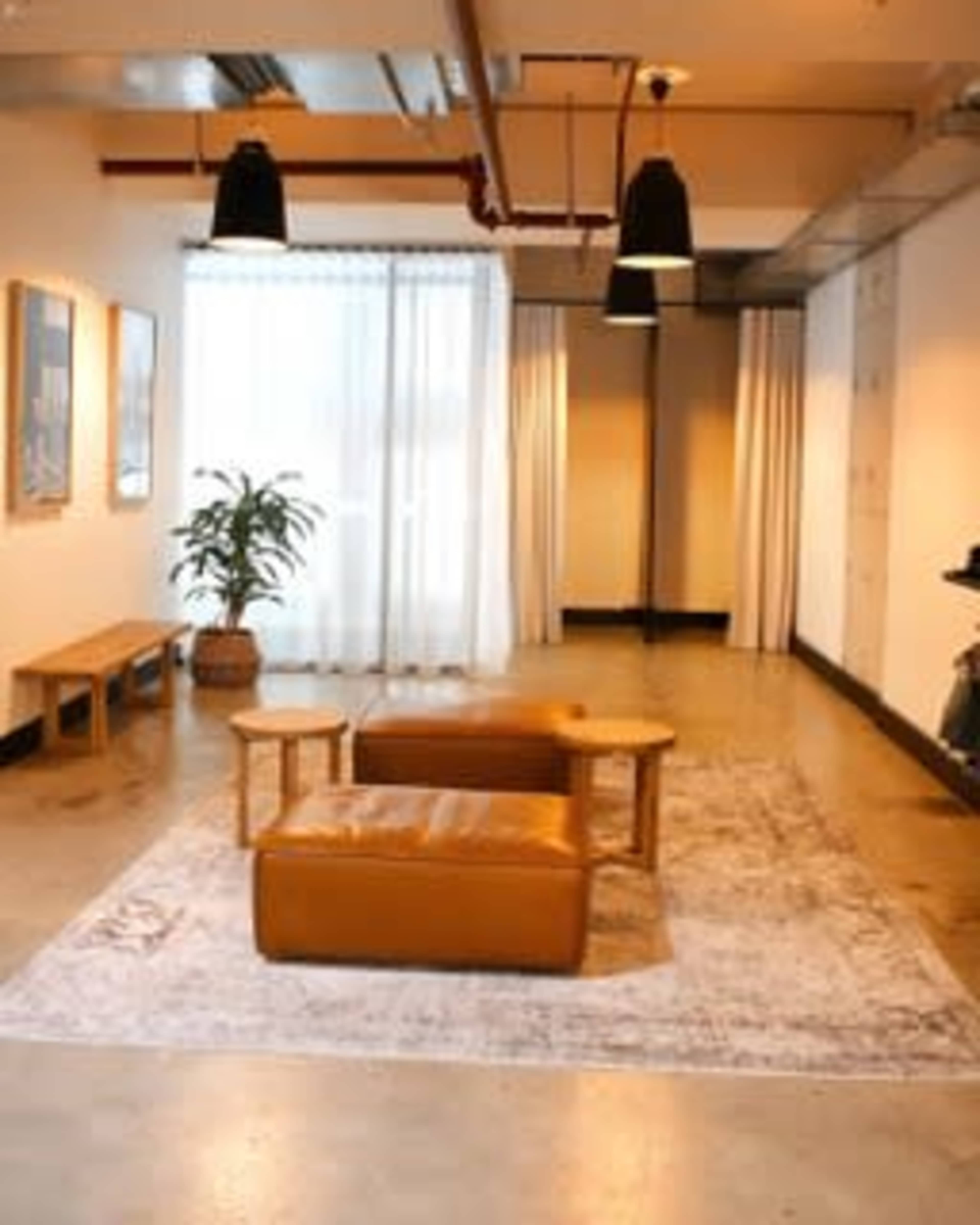 A spacious room with a light-colored rug, two wooden benches, a leather ottoman, a potted plant, and large windows draped with sheer curtains.
